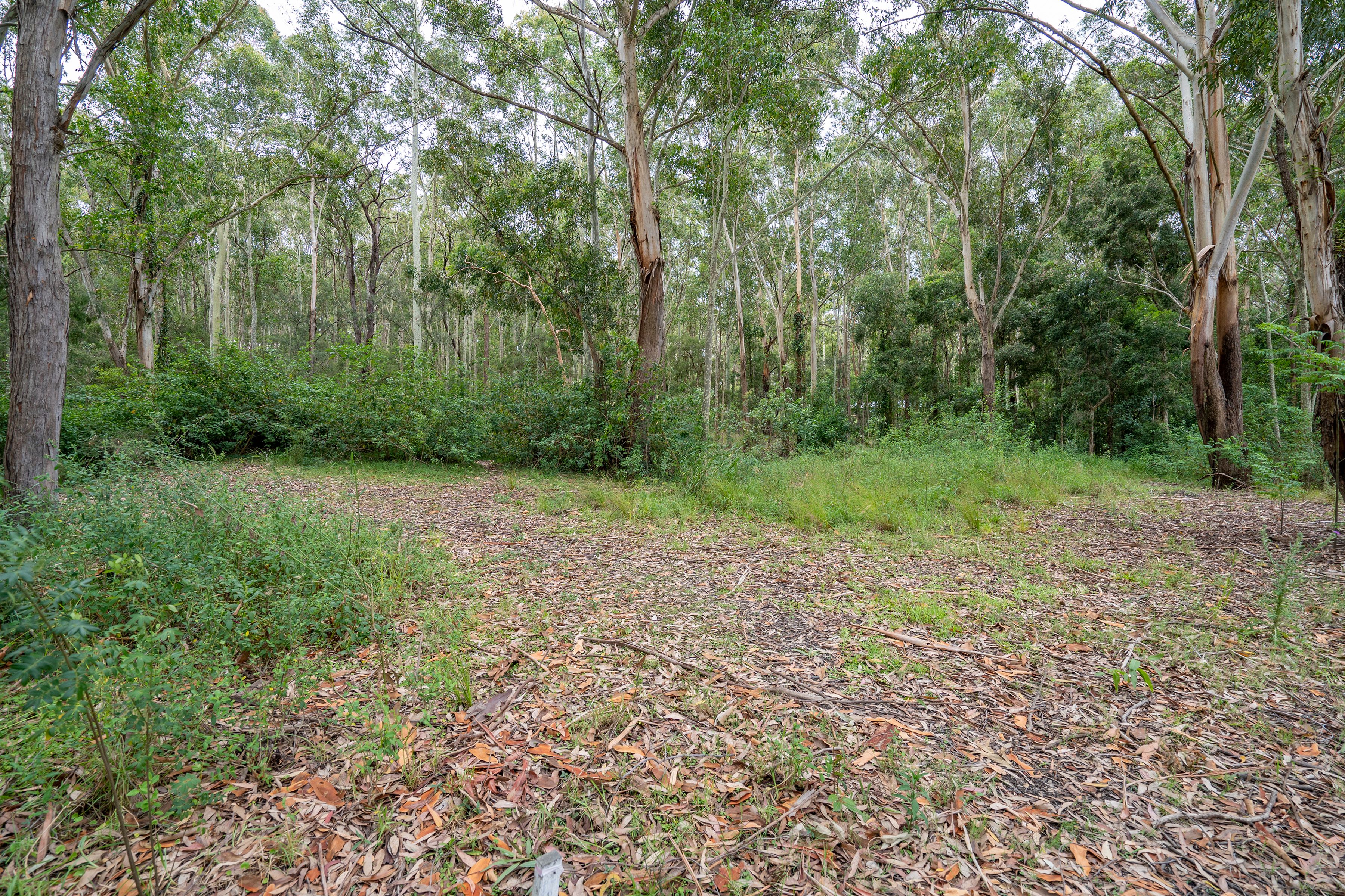 37 Dora Street, Cooranbong, NSW 2265