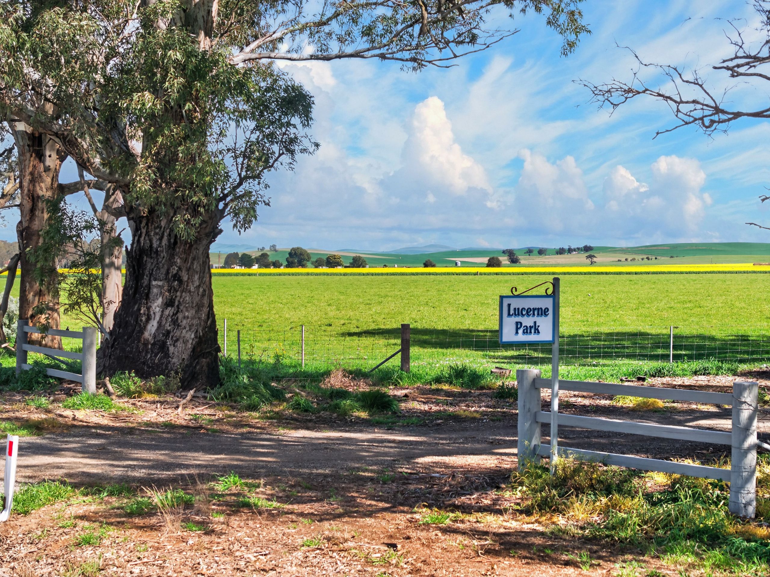 'Lucerne Park' Booborowie Road — photo from Ray White Rural South Australia