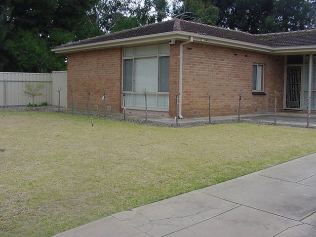 15 Cairns Avenue, Lockleys, SA 5032