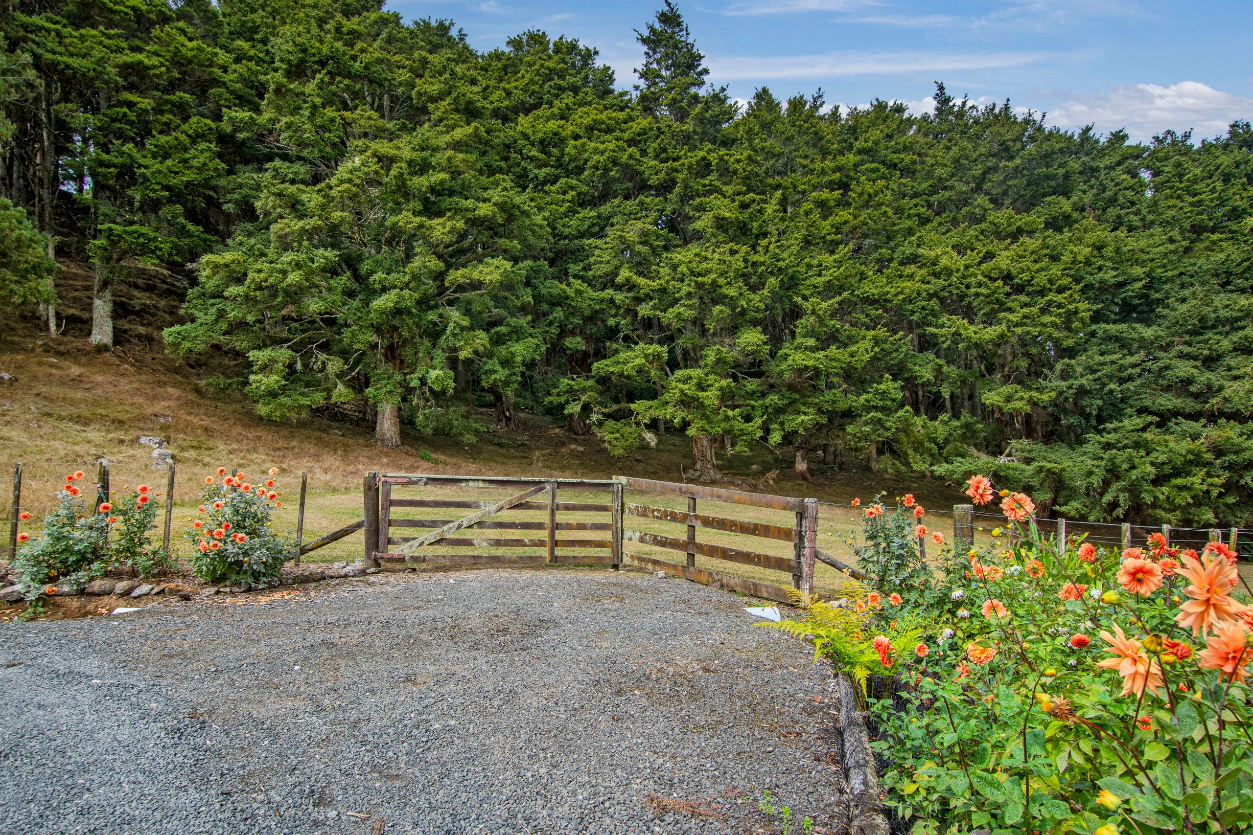 316A Crane Road, Kauri, Whangarei District 0185 Section for Sale Ray White Whangarei