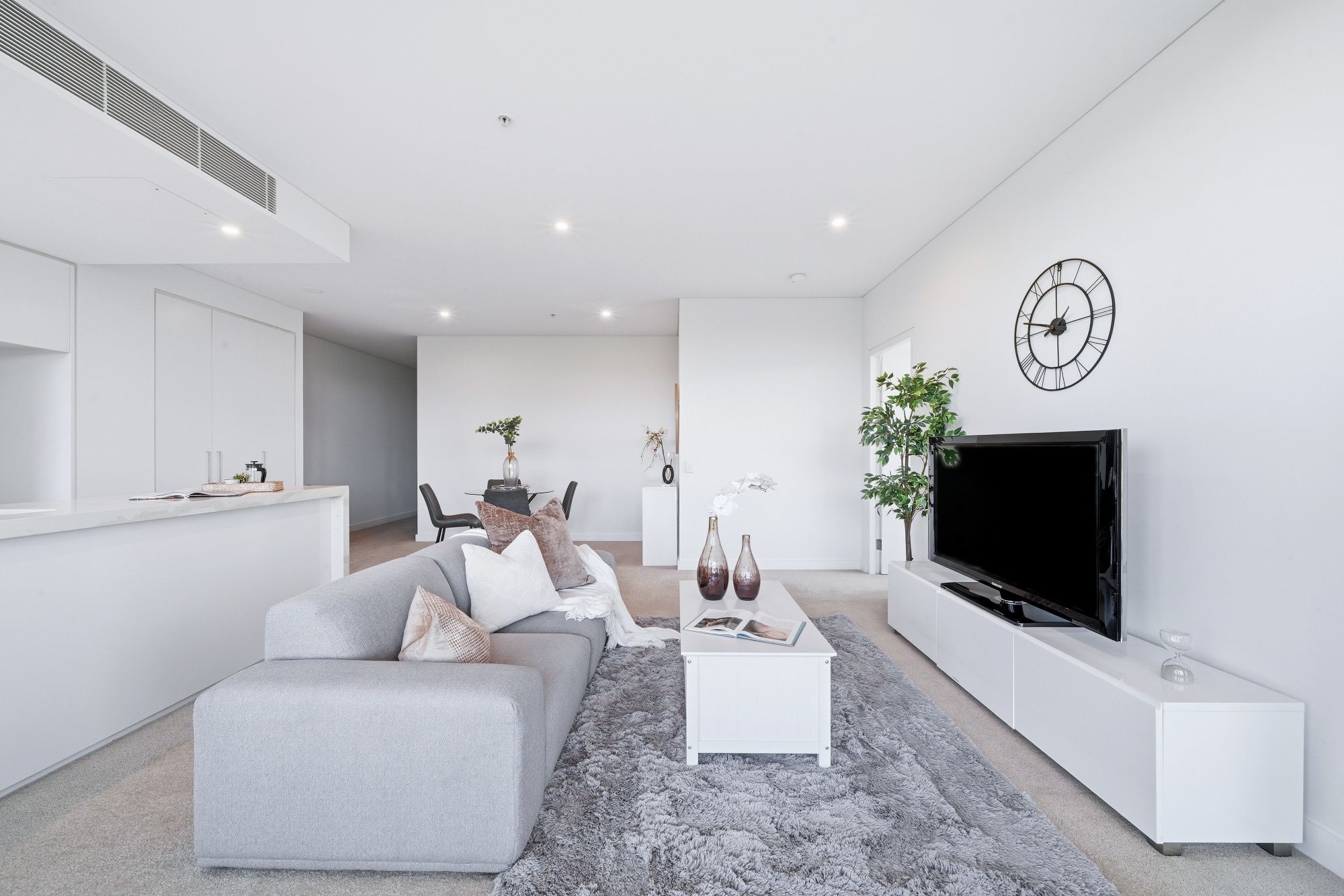 215/20 Chisholm Street, Wolli Creek, NSW 2205