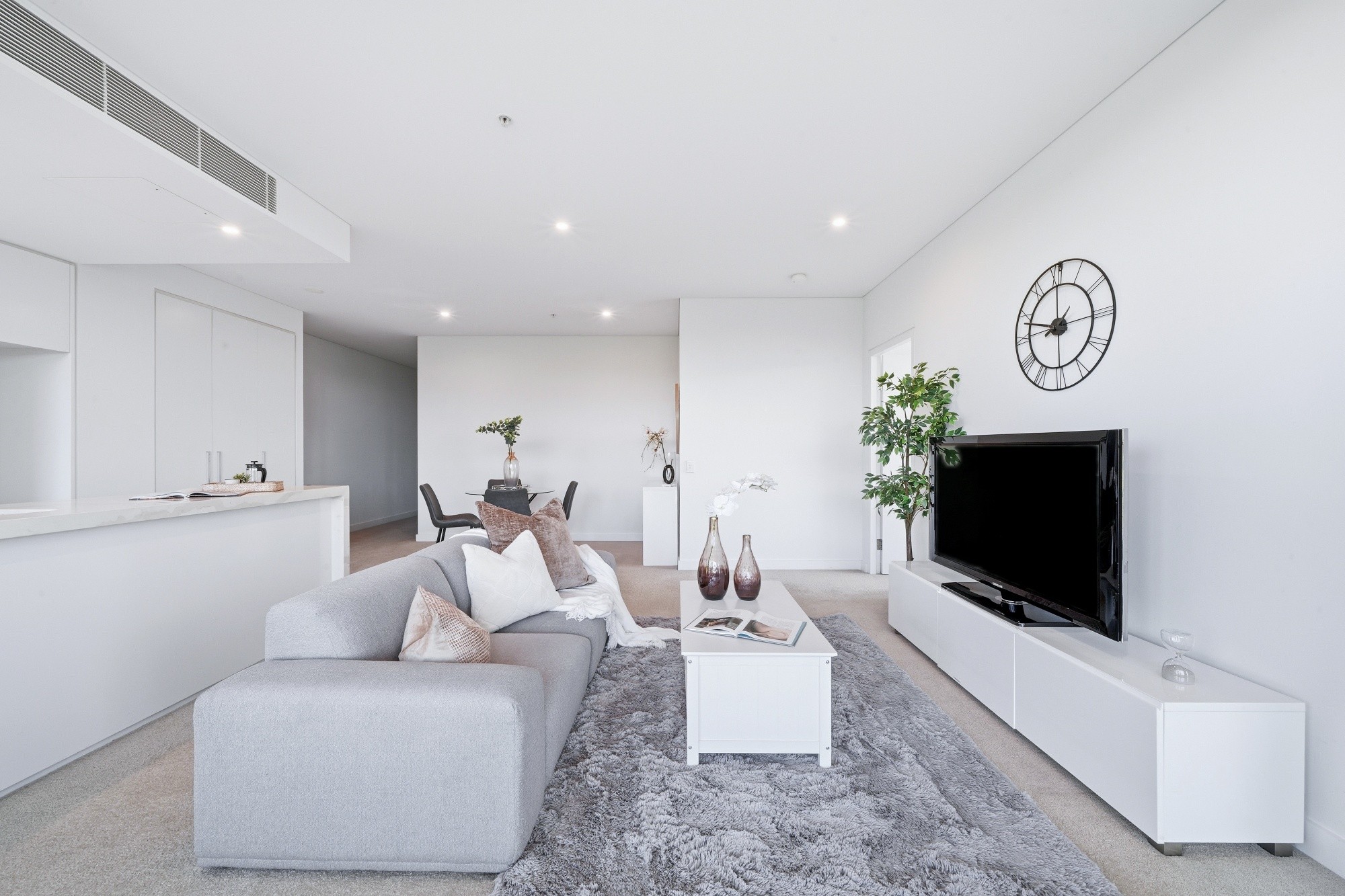 215/20 Chisholm Street, Wolli Creek, NSW 2205