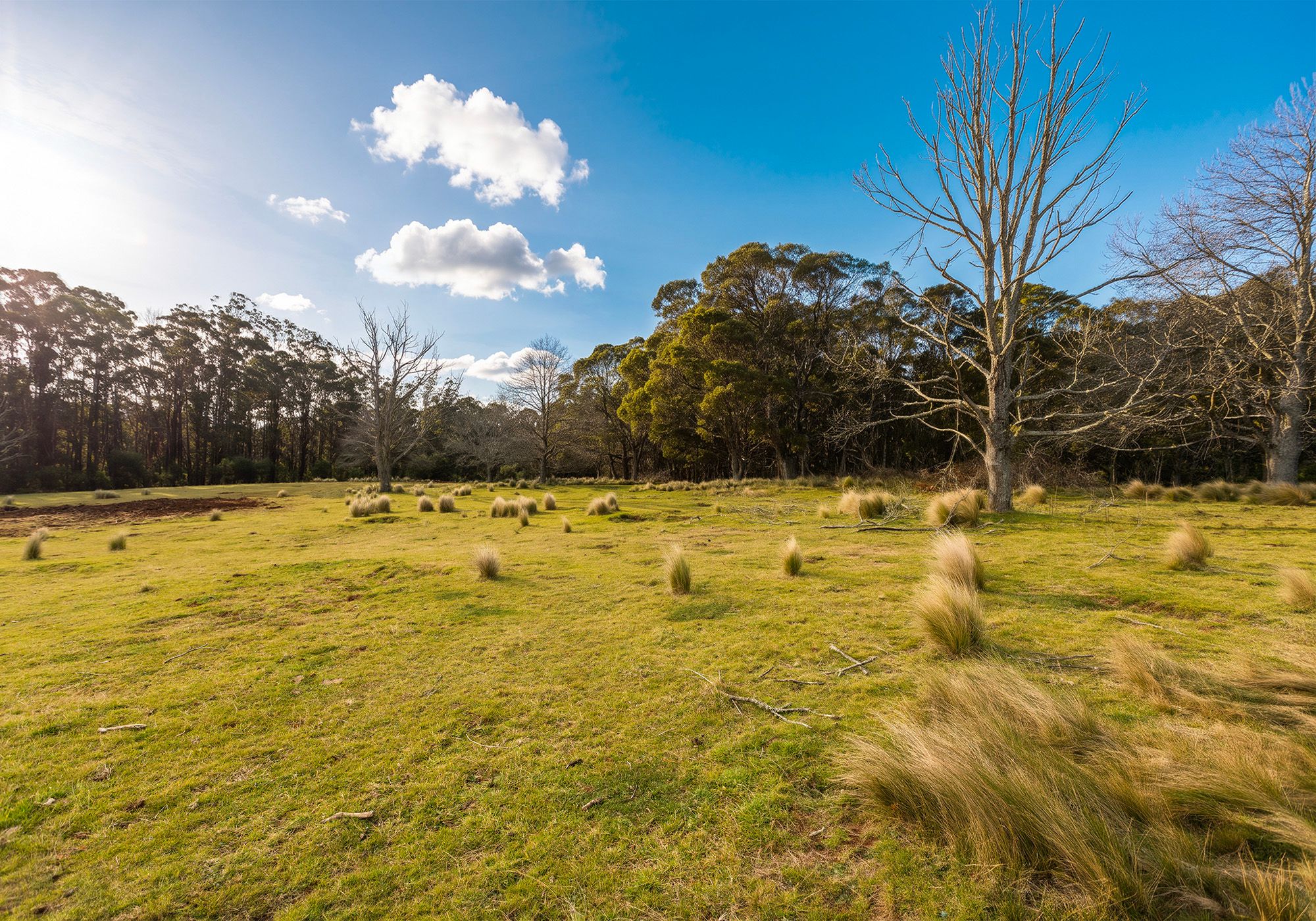 4342 Braidwood Road, Sassafras, NSW 2622