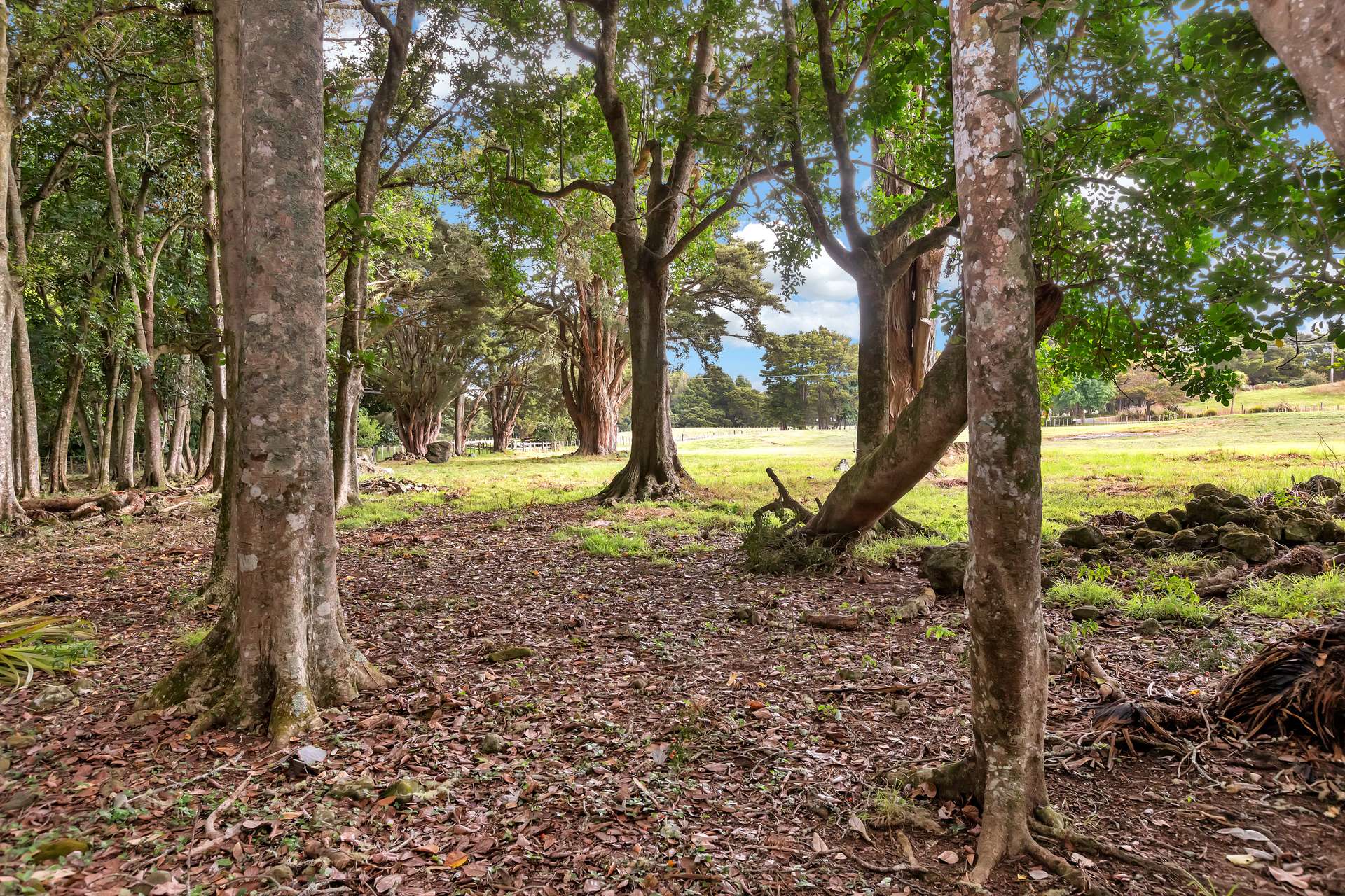 Lot 2 Tauraroa Road photo 7