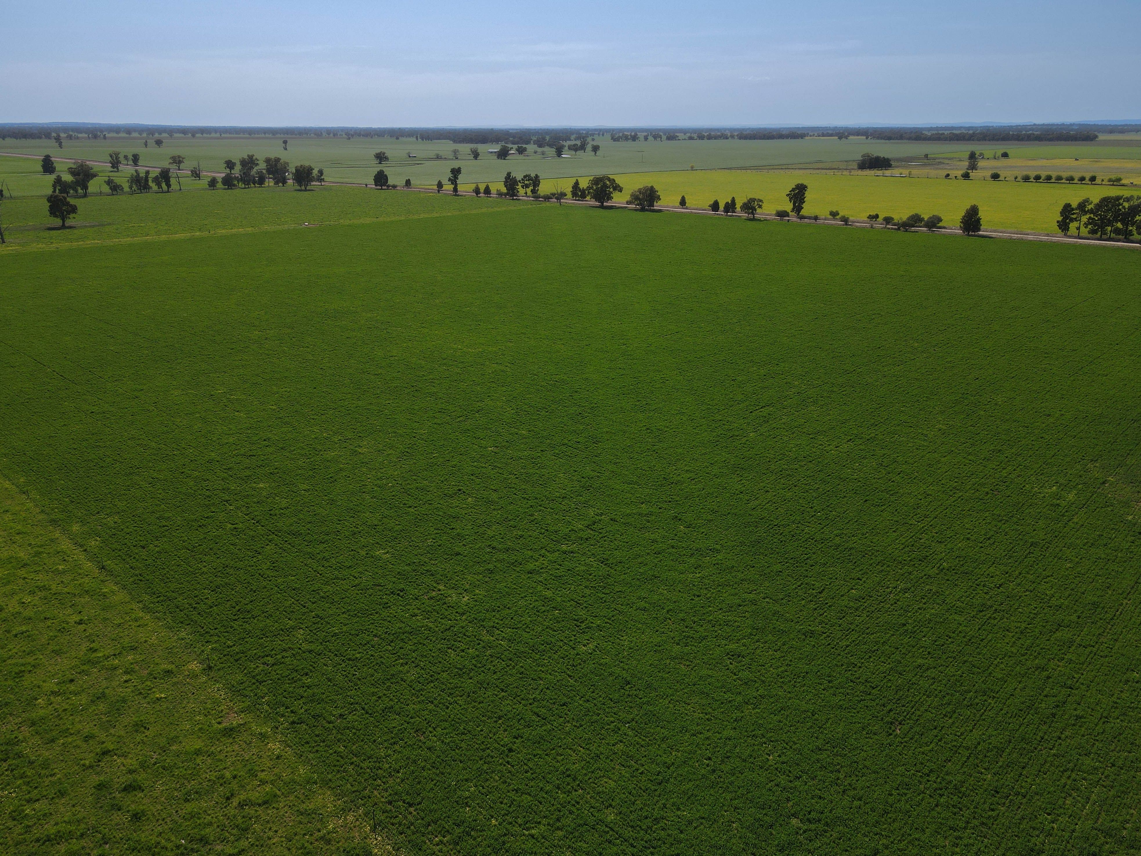 Ray White Rural & Livestock • 140 Amors Lane, Forbes, NSW Rural