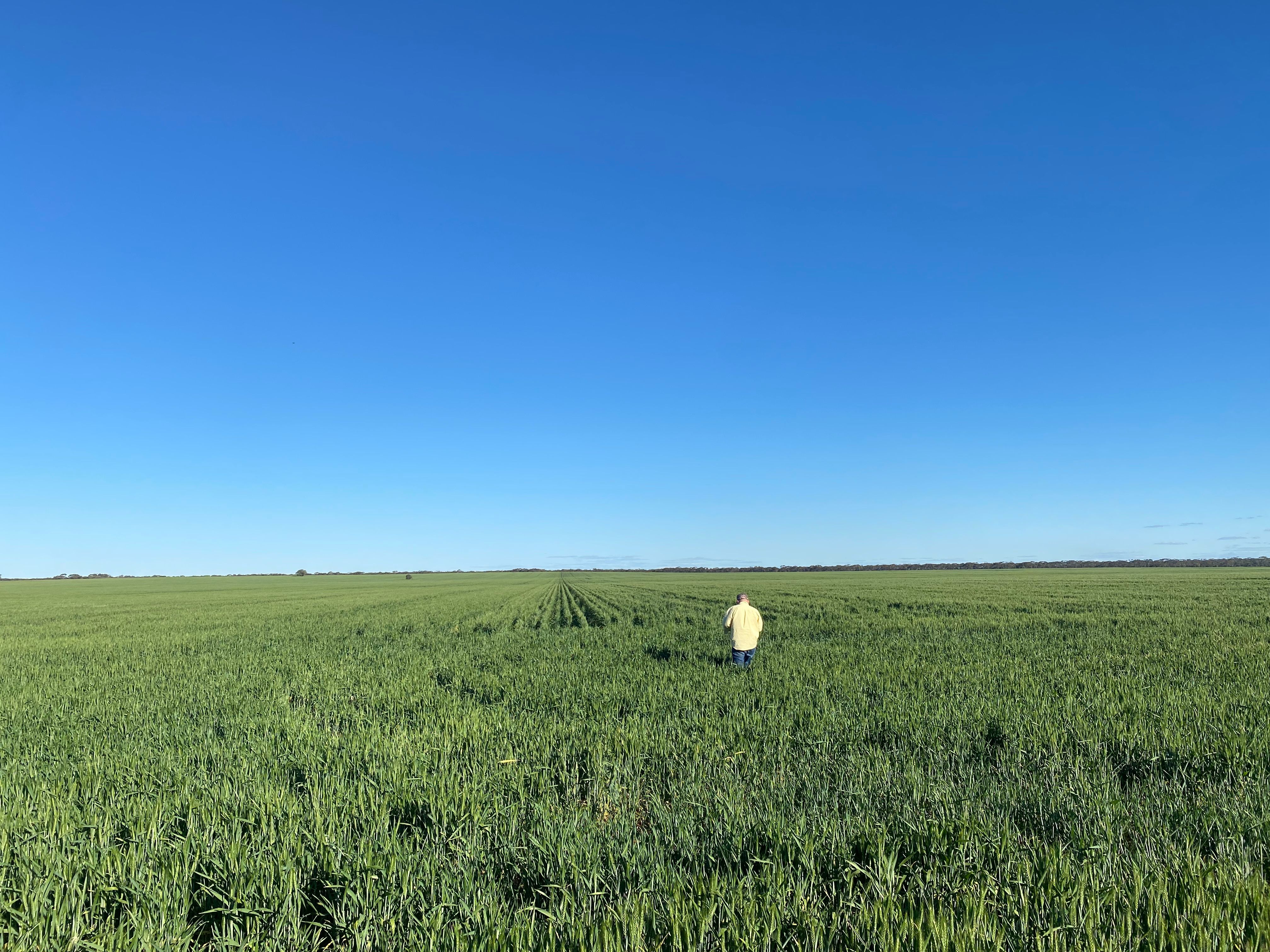 Glenroy 4938 Peisley Road, NYNGAN, NSW 2825