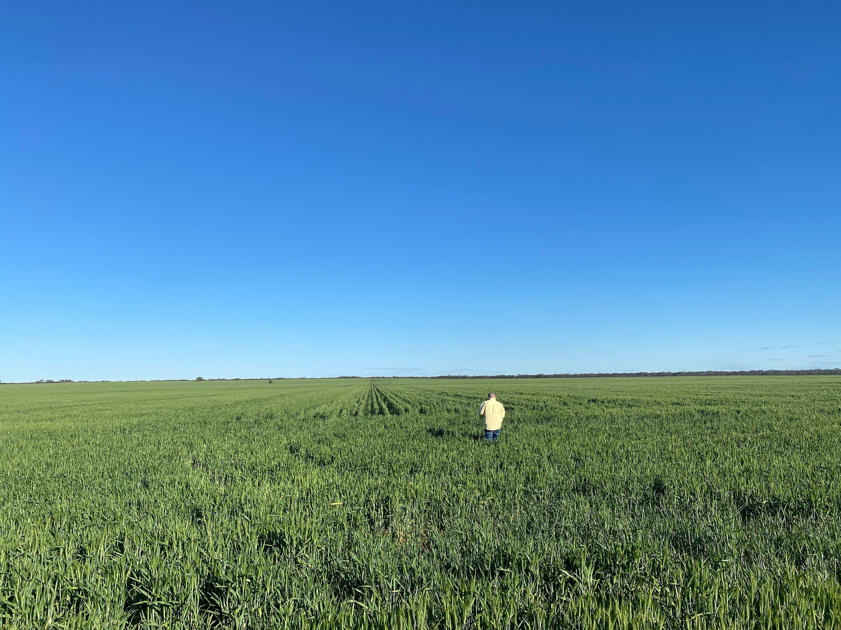 Glenroy 4938 Peisley Road, NYNGAN, NSW 2825