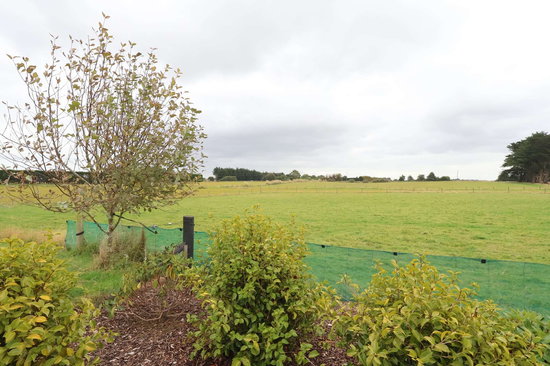 135 Millwood Glen photo 50