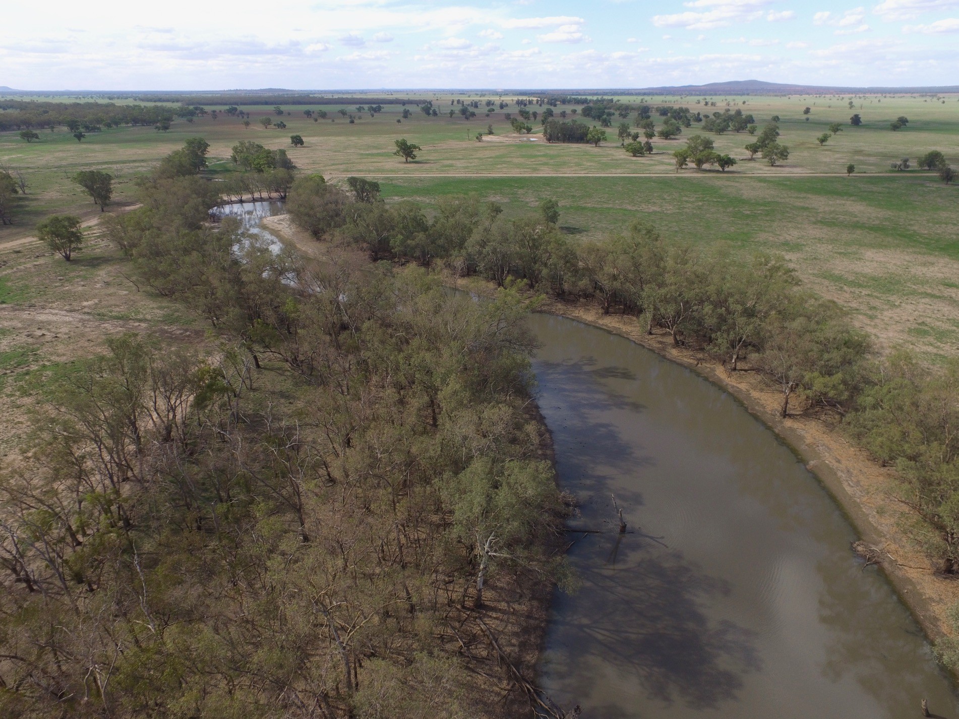 Nerokewa 79 Reakes Road, Condobolin, NSW 2877