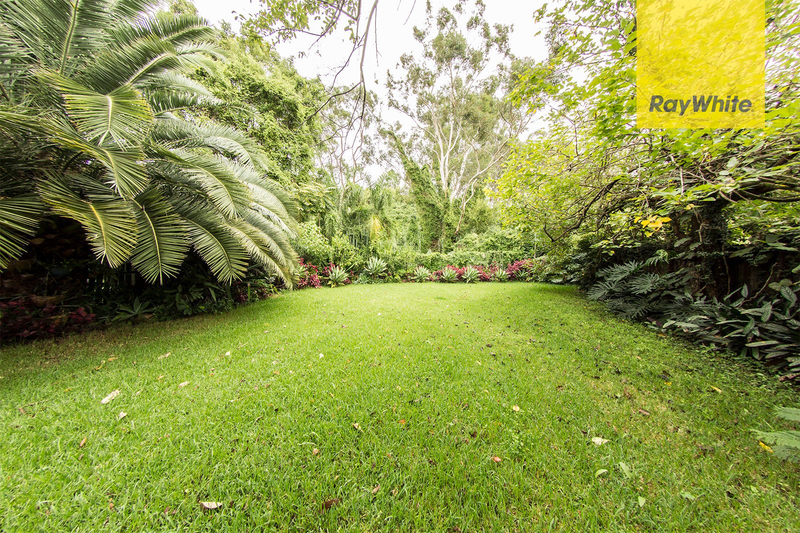 51 Anderson Avenue, Dundas, NSW 2117