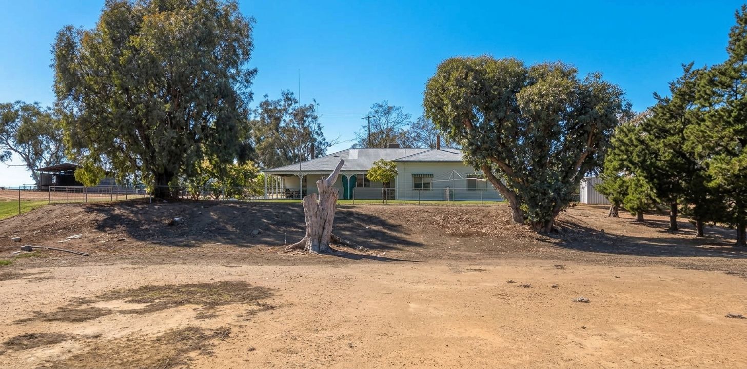 'Weemala' 5736 Burrendong Way — photo 9 of 17