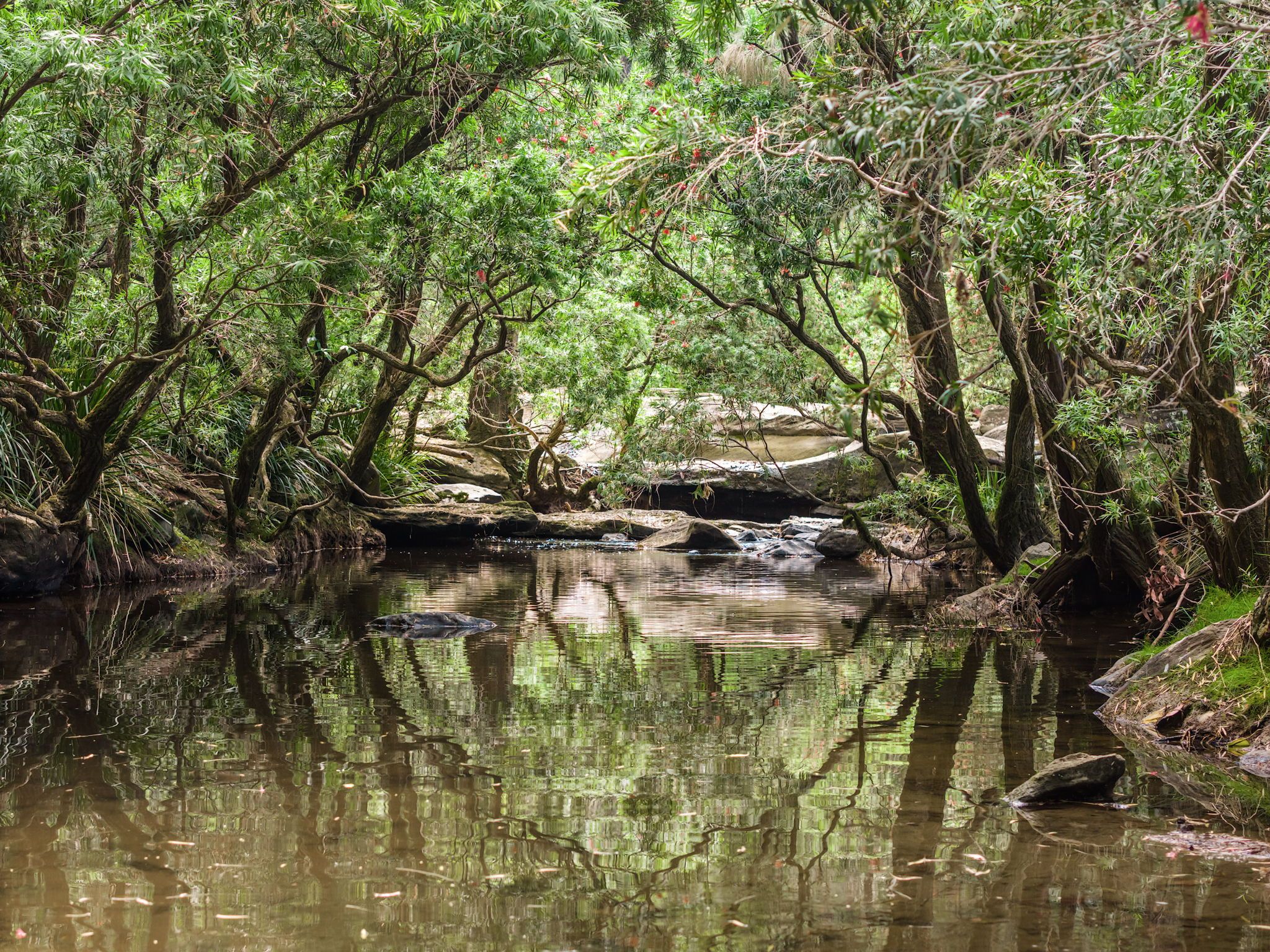 497 Yabbra Road, Yabbra, NSW 2469