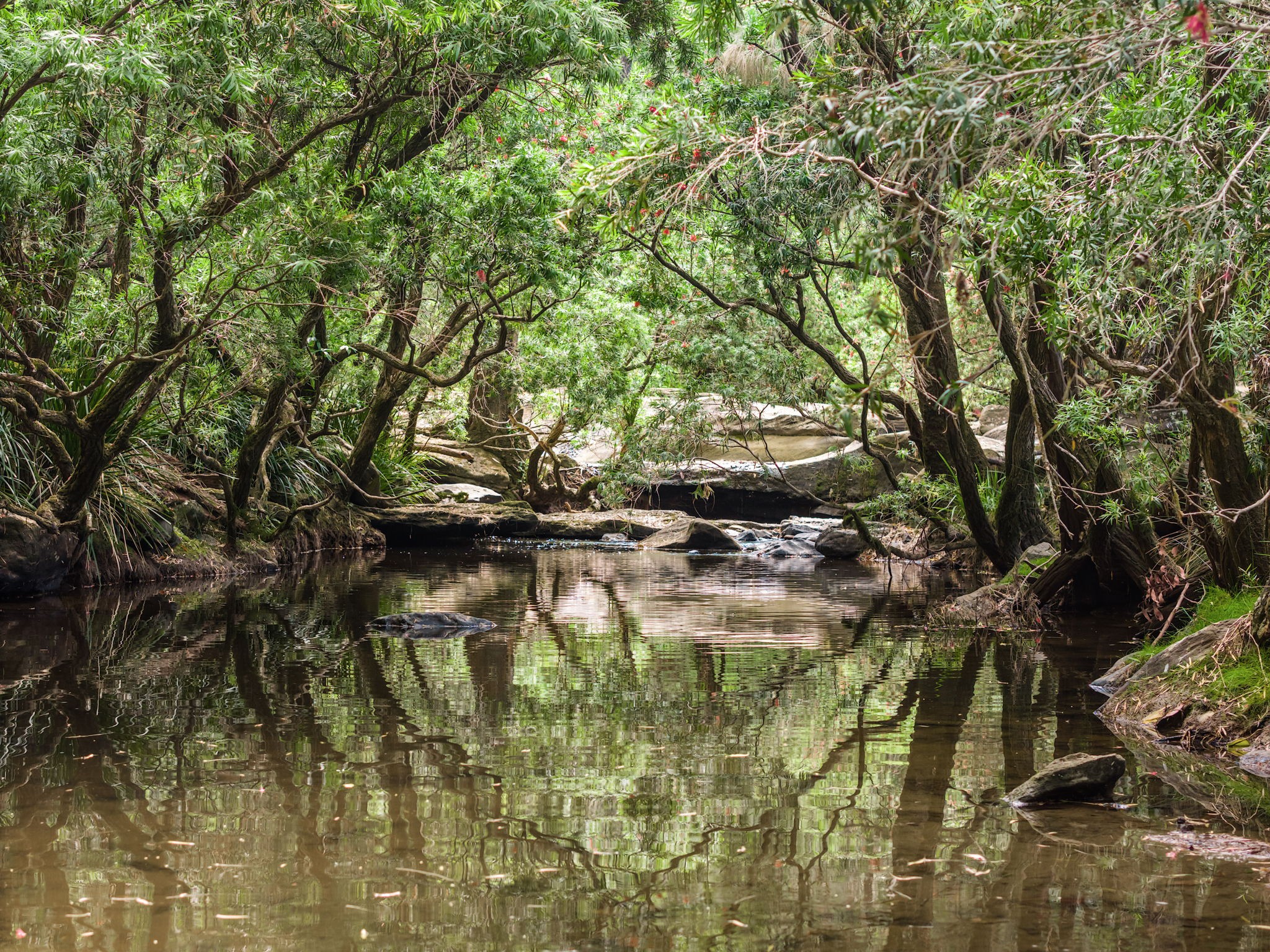 497 Yabbra Road, Yabbra, NSW 2469