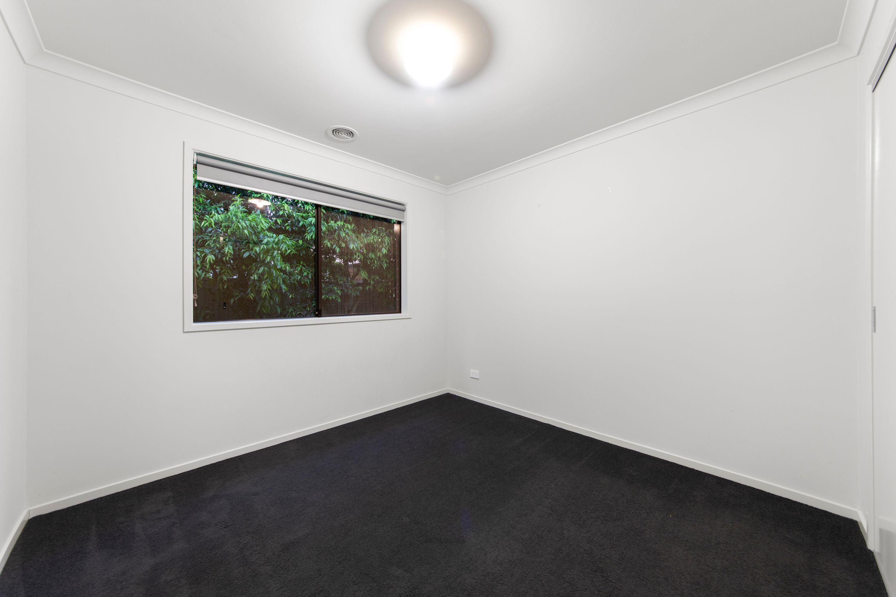 46 Lotus Street — photo 25 of 30