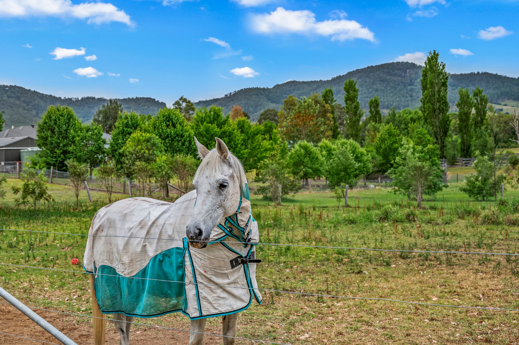 171 Jacks Road, Gloucester, NSW 2422