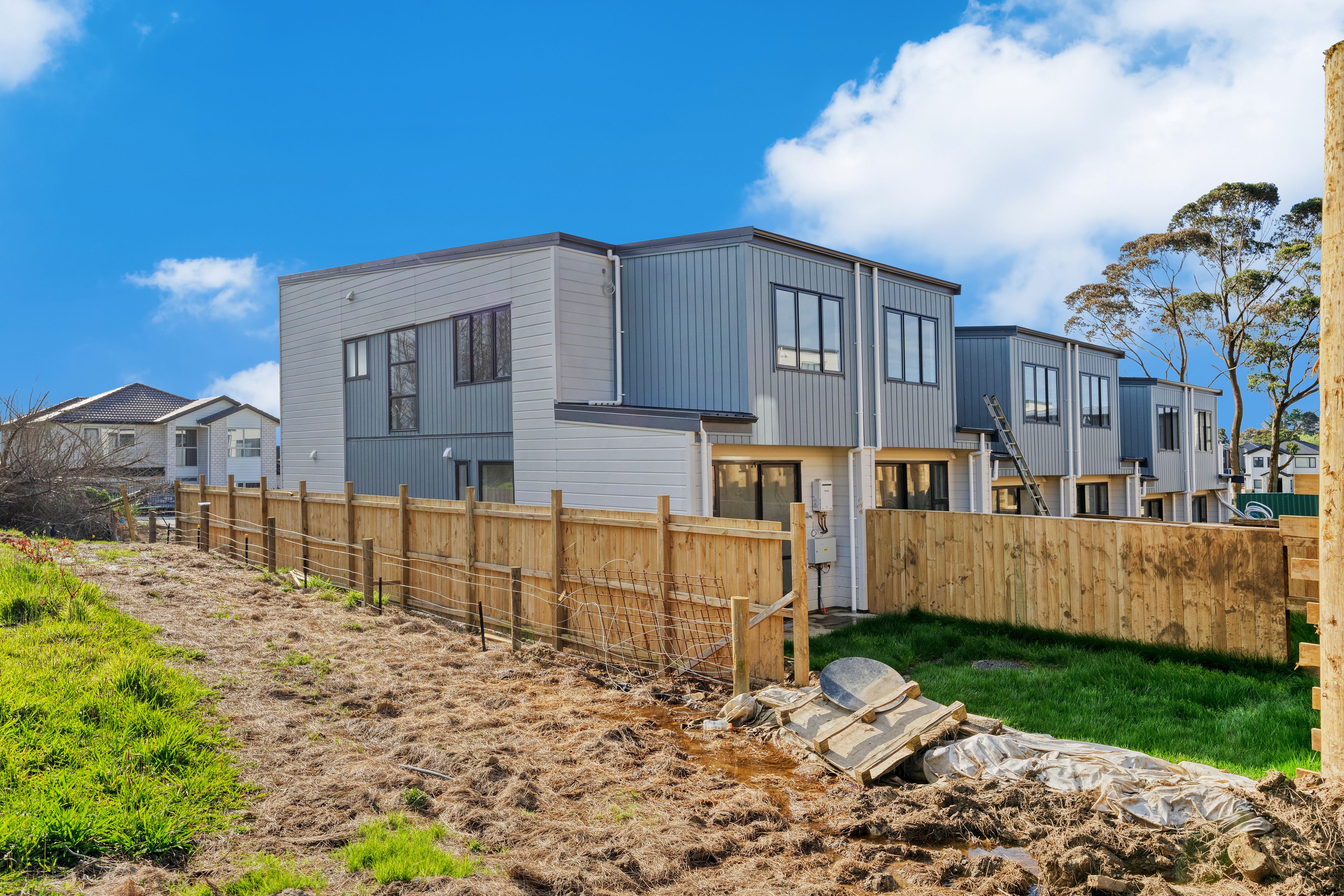 20 Routhmore Street, Flat Bush, Manukau City
