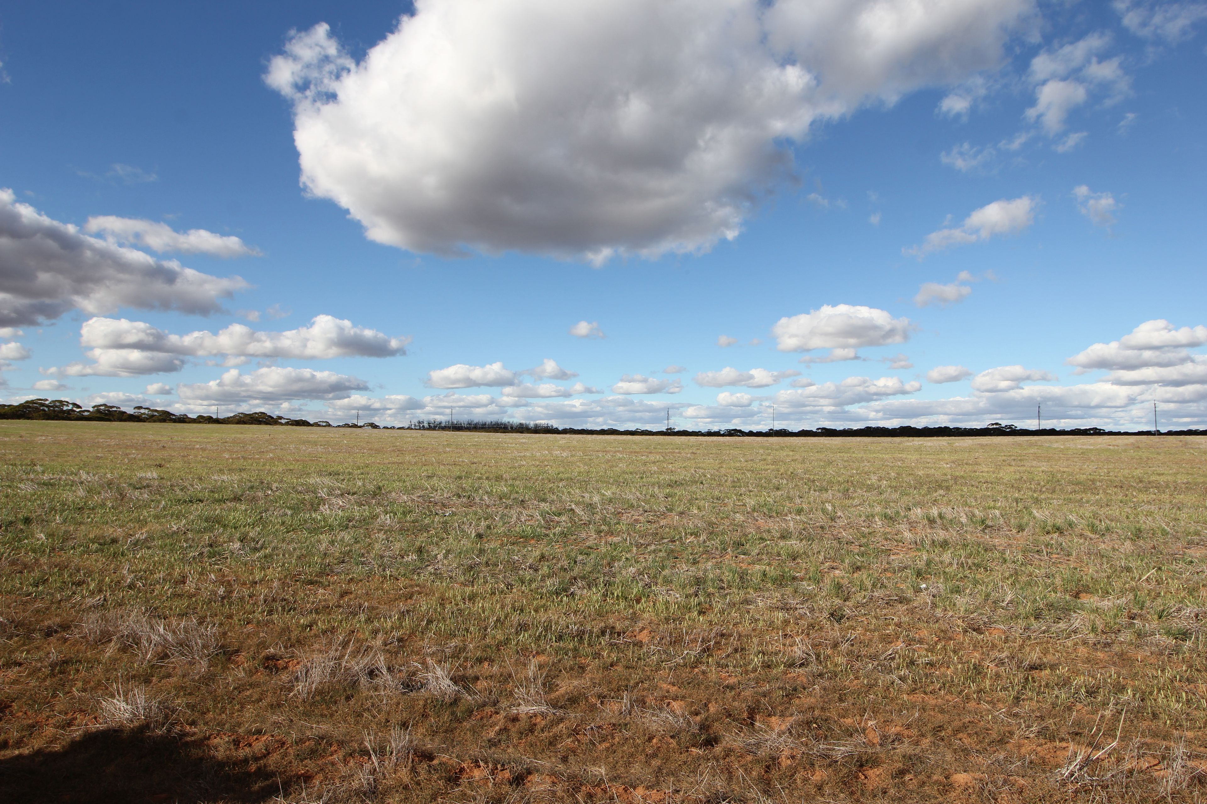 Lot 40/115 Bigg Road, Monash, SA 5342
