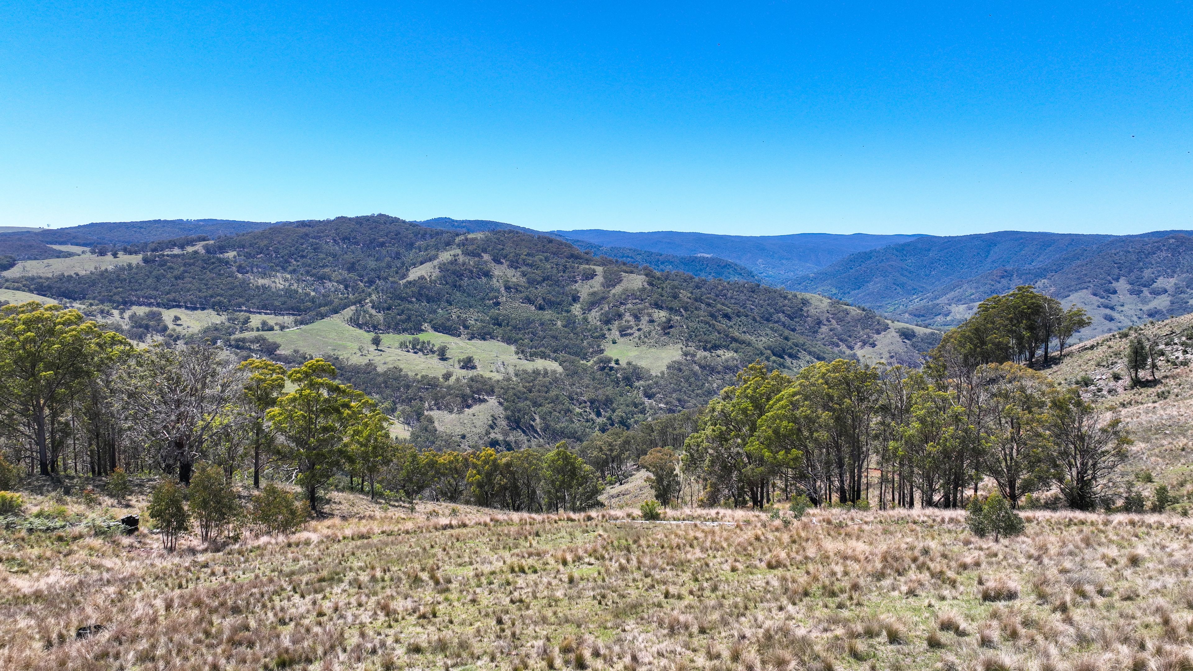 10 Nowendoc Road, Ogunbil, NSW 2340 Rural Property for Sale Ray