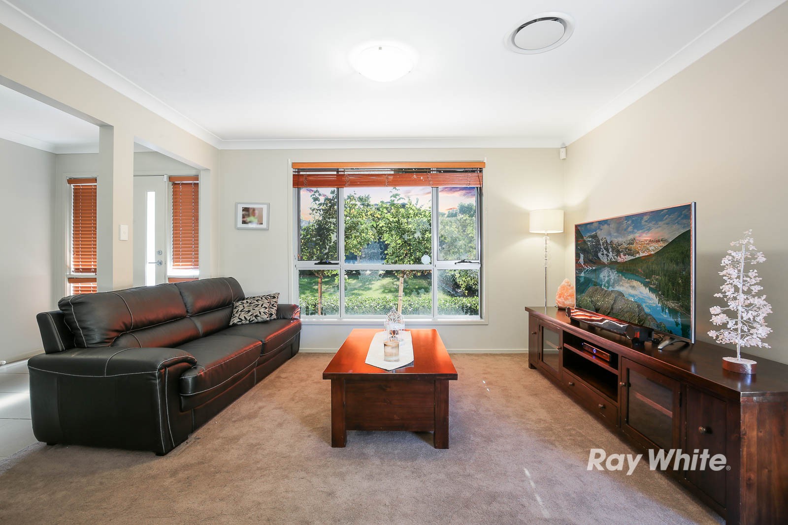45 Adelong Parade, The Ponds, NSW 2769