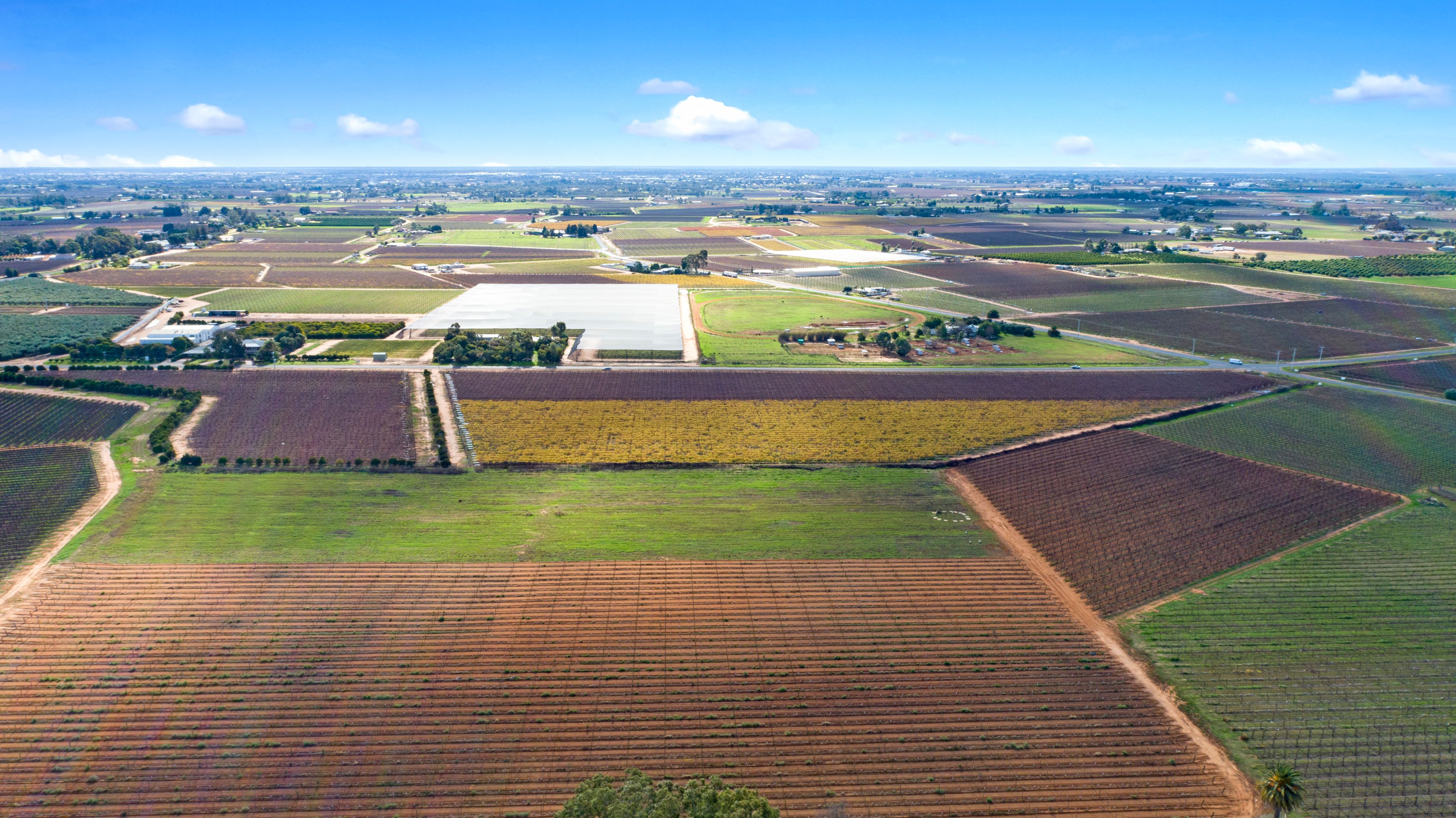356 Myall Street, Red Cliffs, VIC 3496 Rural Horticulture Property
