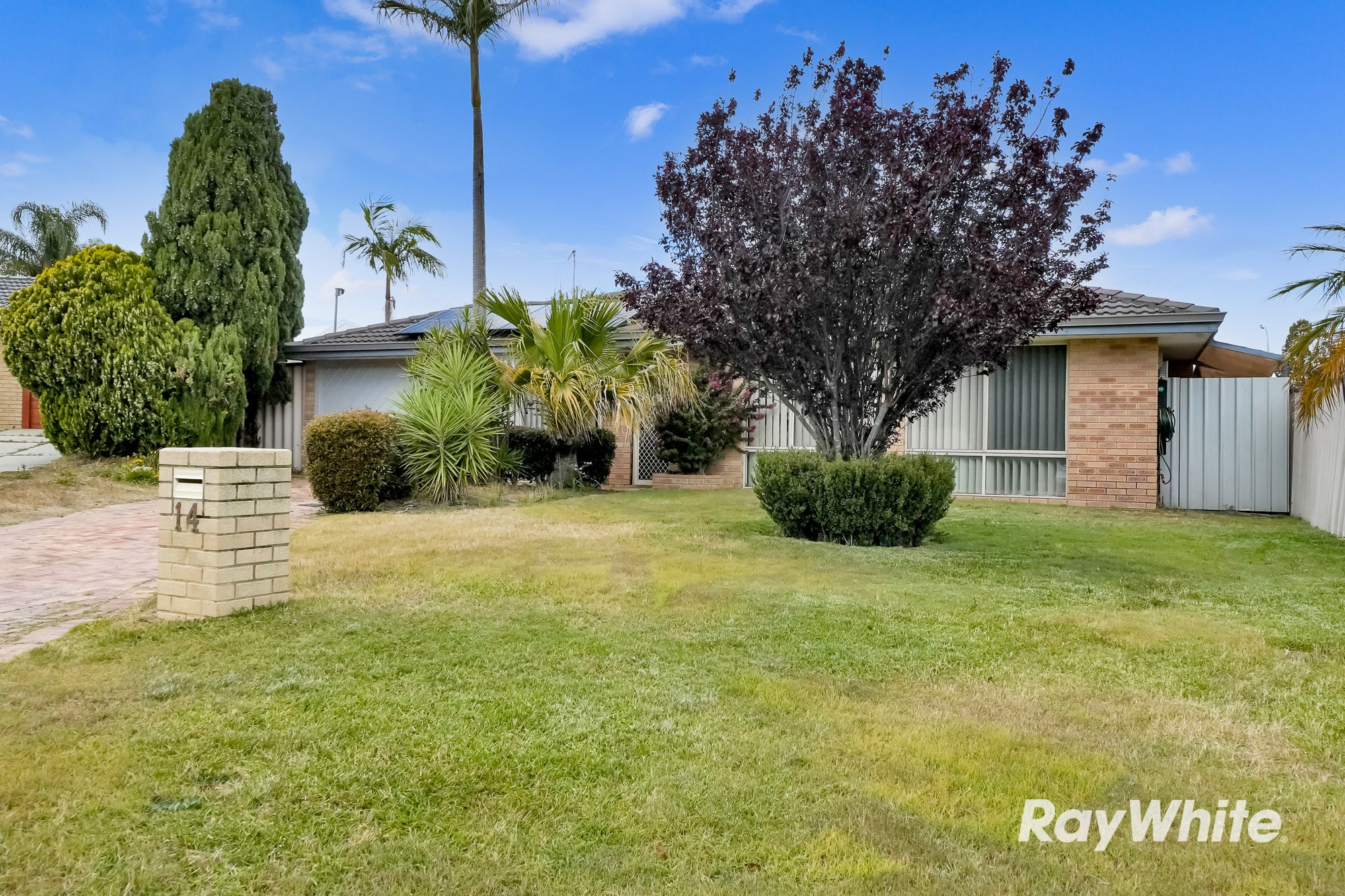 14 Boab Court, Alexander Heights, WA 6064