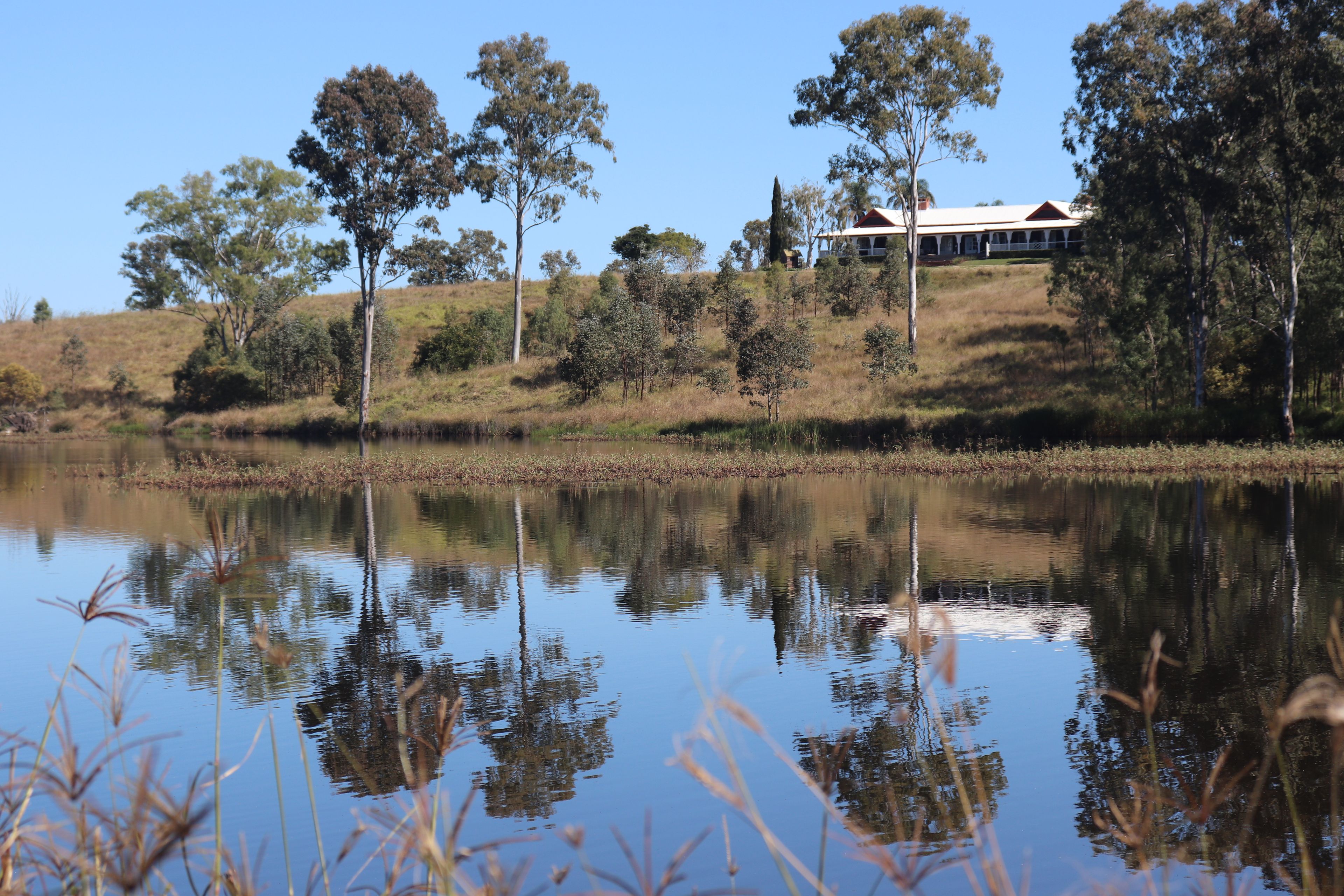 620 Hivesville Windera Road, Marshlands, QLD 4611 Sold Rural Mixed