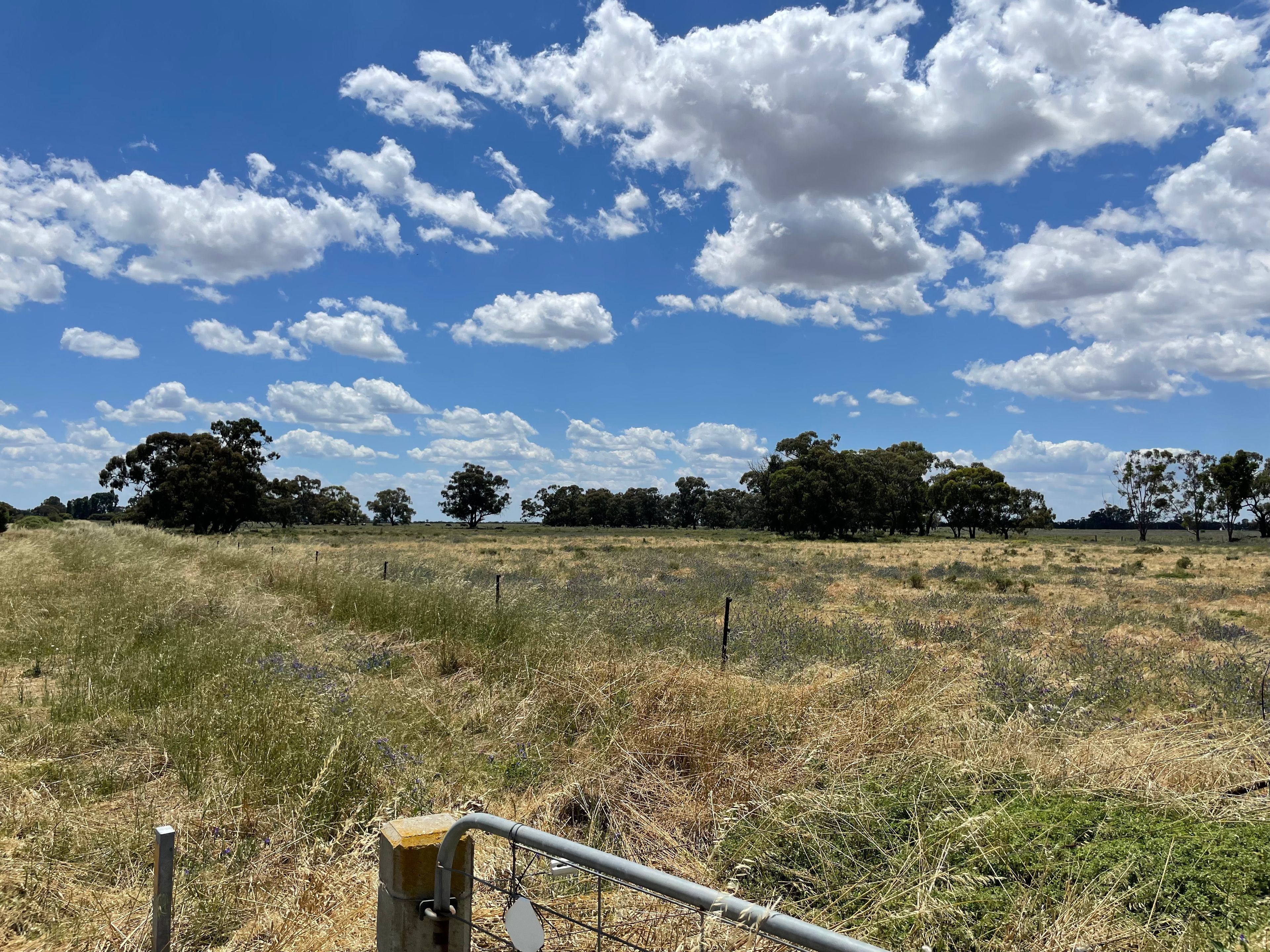 'Yileen' 4371 Moulamein Road, Tullakool, NSW 2732