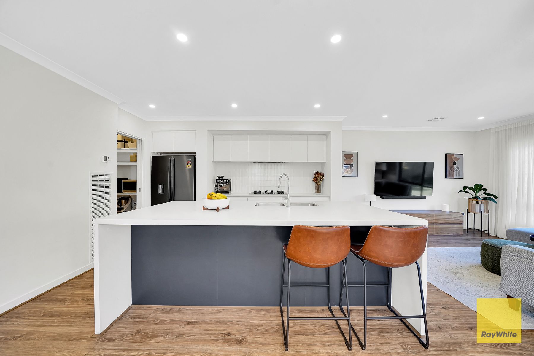 11 Harris Street — photo 6 of 25