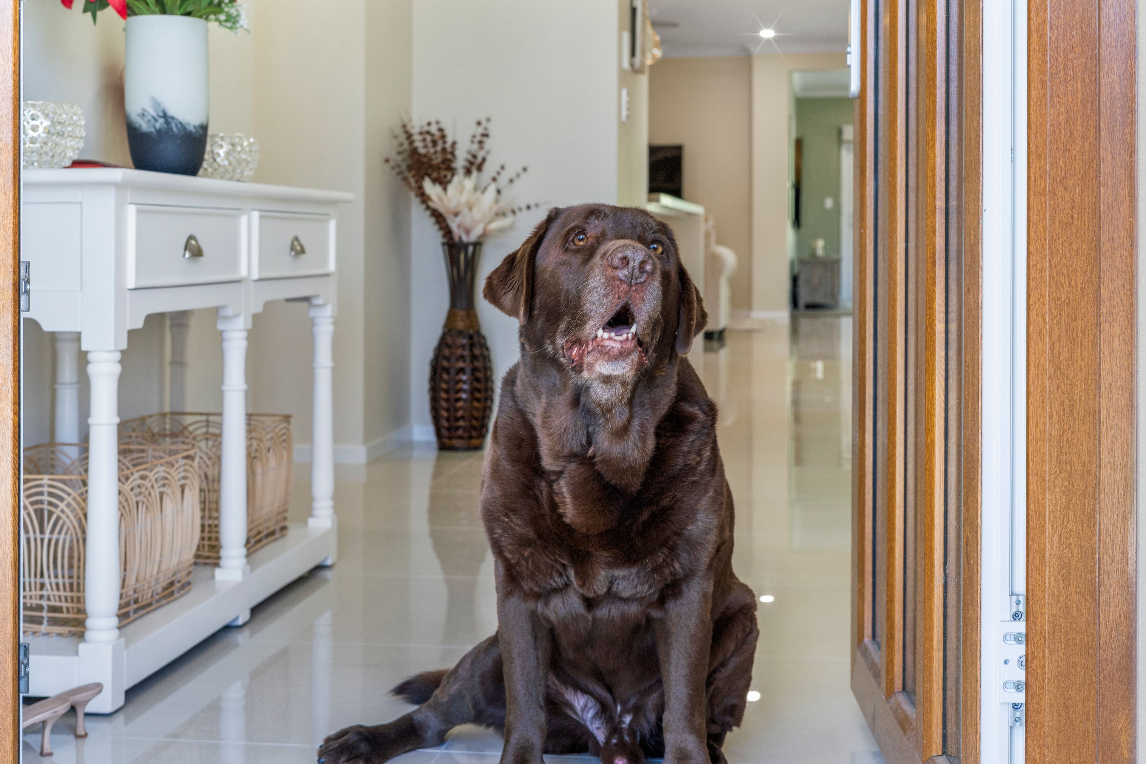 12 Birdwing Crescent, FLAGSTONE, QLD 4280