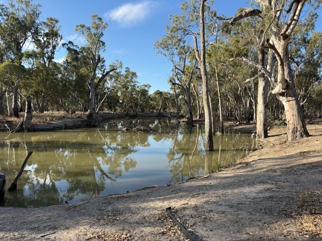 1033 GREENHILL Lane, Barham, NSW 2732