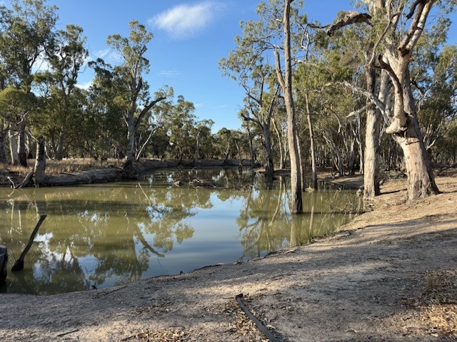 1033 GREENHILL Lane, Barham, NSW 2732