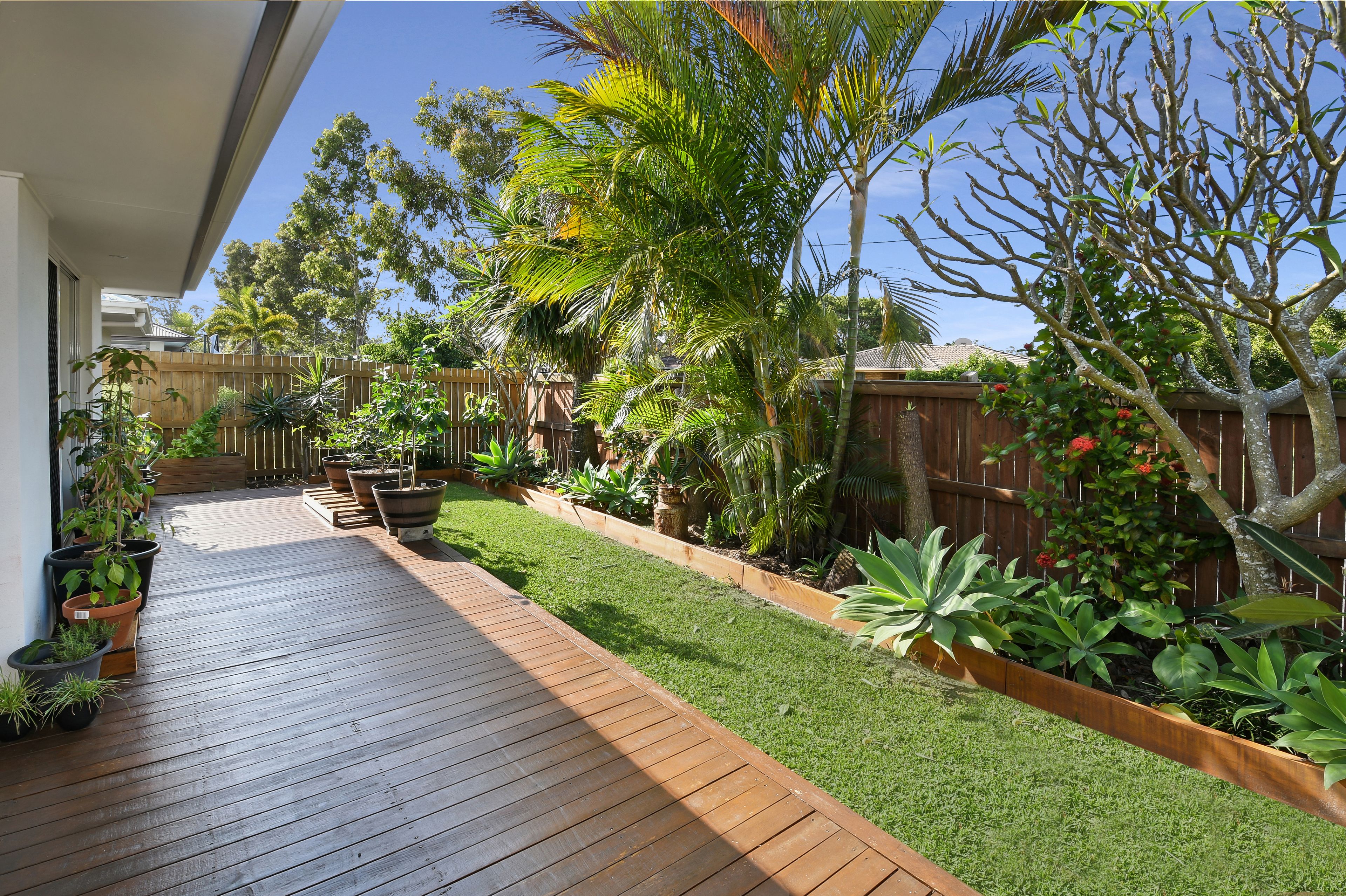 51 Carlisle Circuit, Mountain Creek, QLD 4557