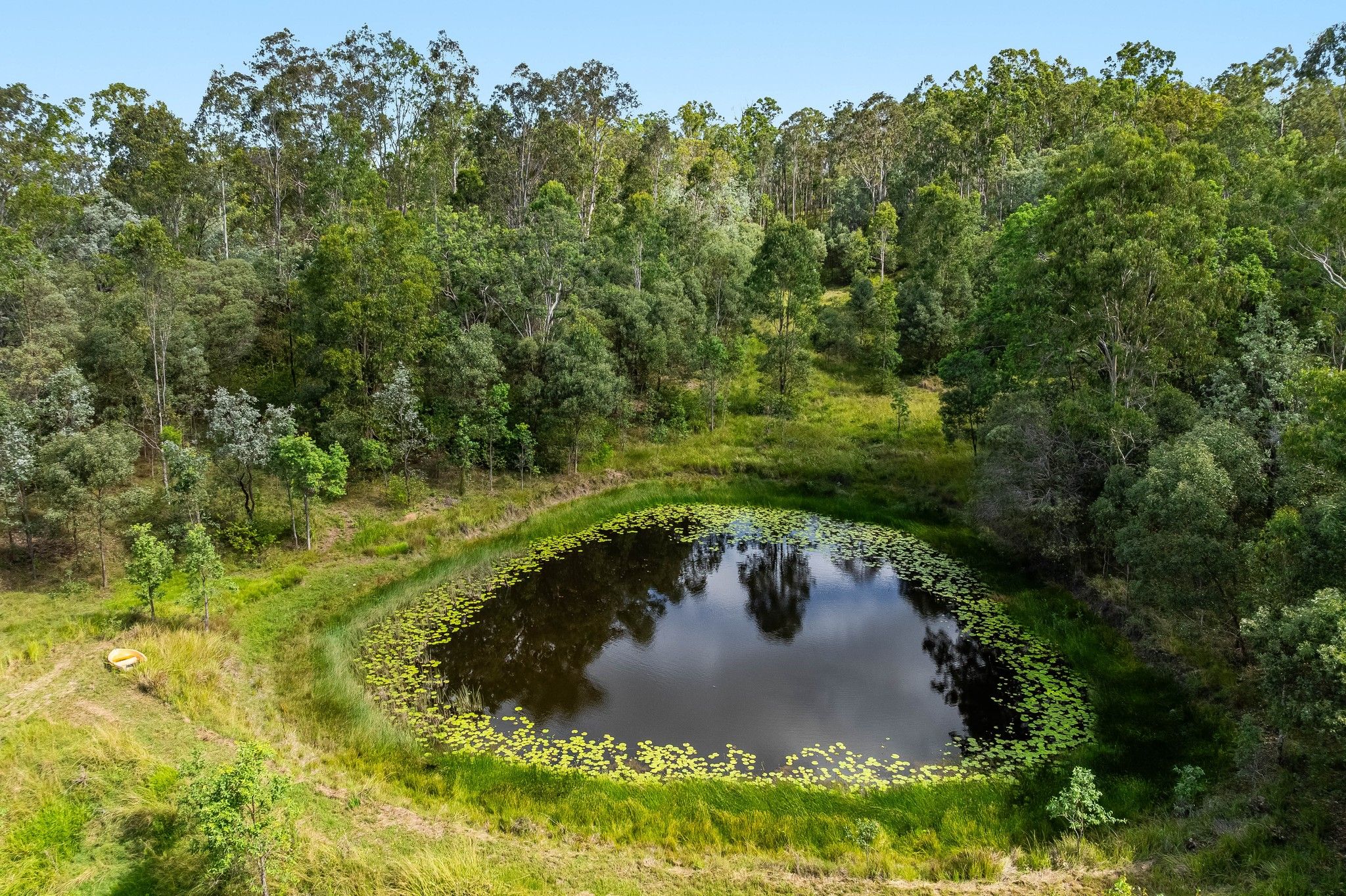 284 Peckhams Road, Ewingar, NSW 2469