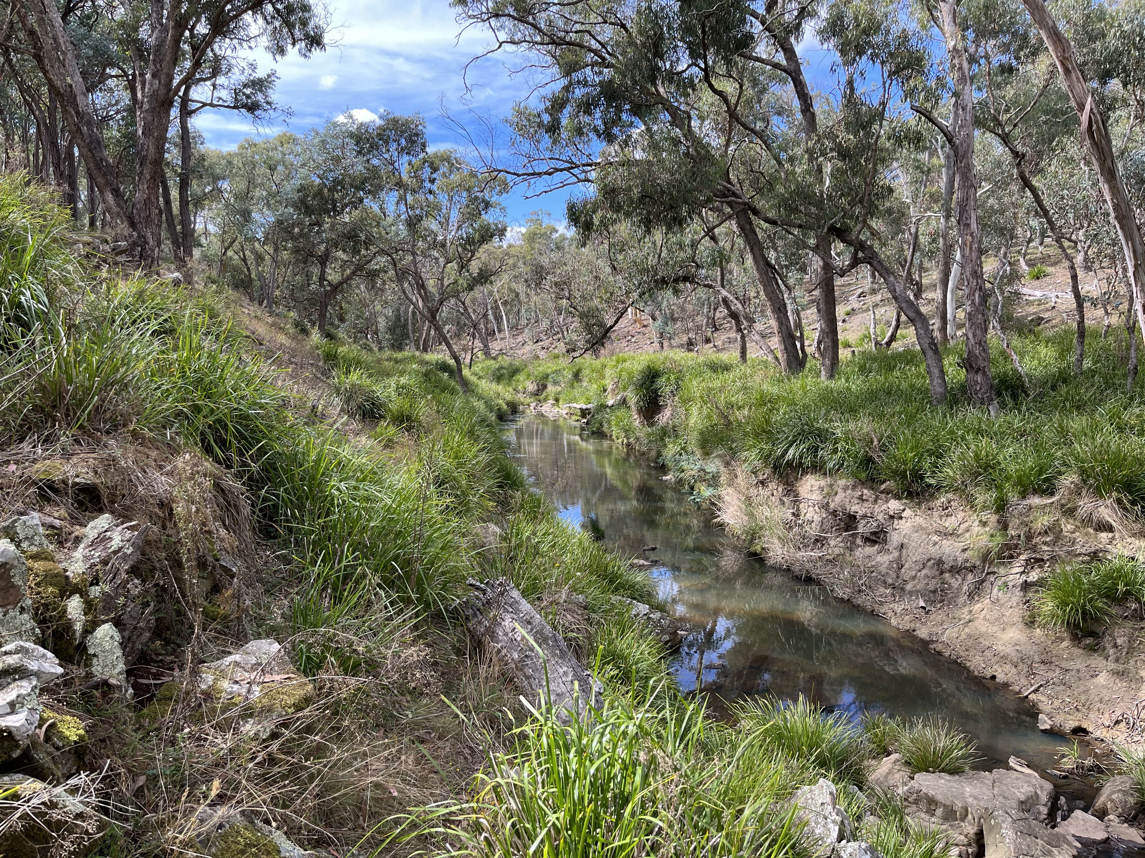 Lot 1 Collector Road, Gunning, NSW 2581