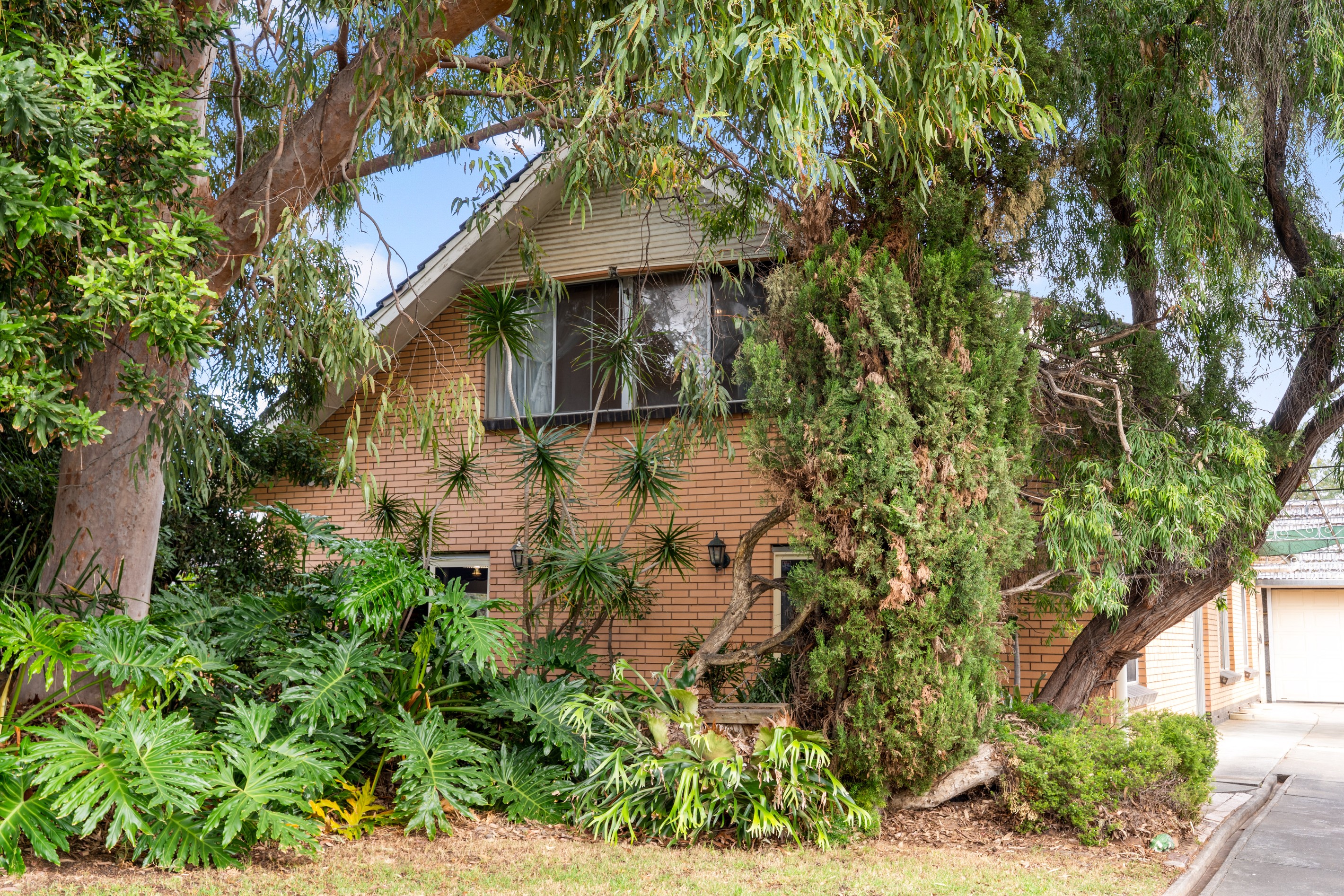 19 Dartmoor Street, Lockleys, SA 5032