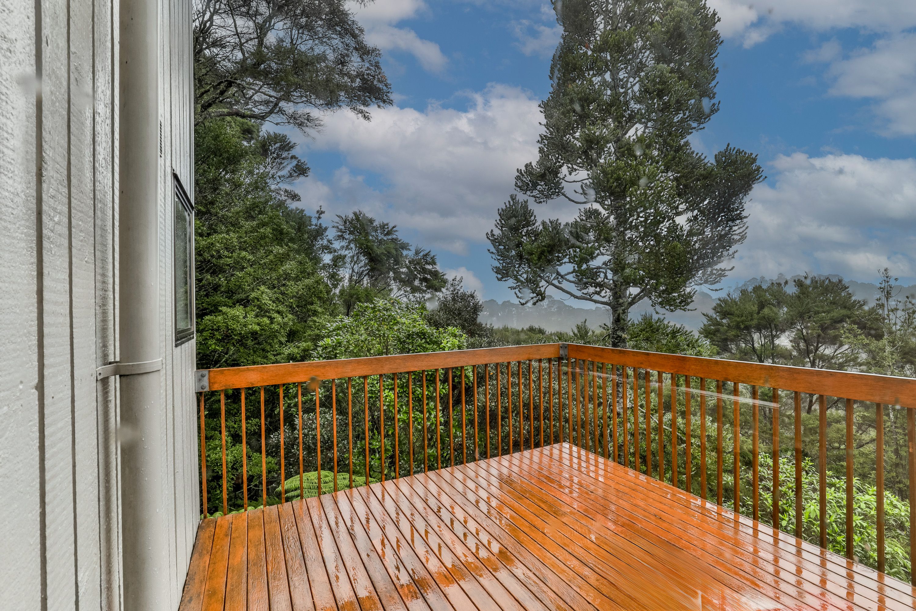 59 Porritt Avenue, Chatswood, North Shore City