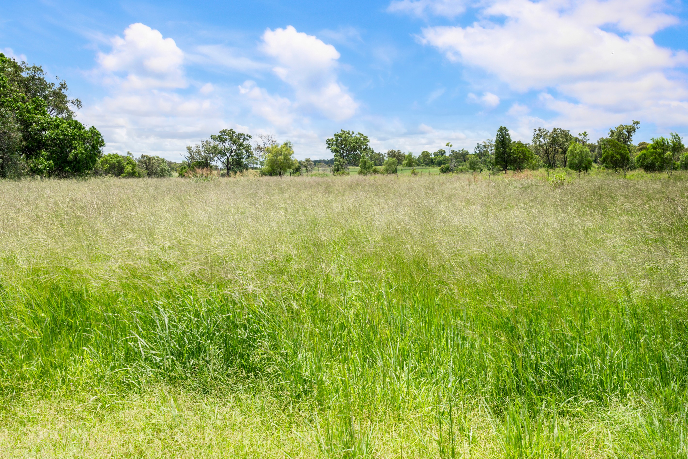 95 Masters Road, Pittsworth, QLD 4356