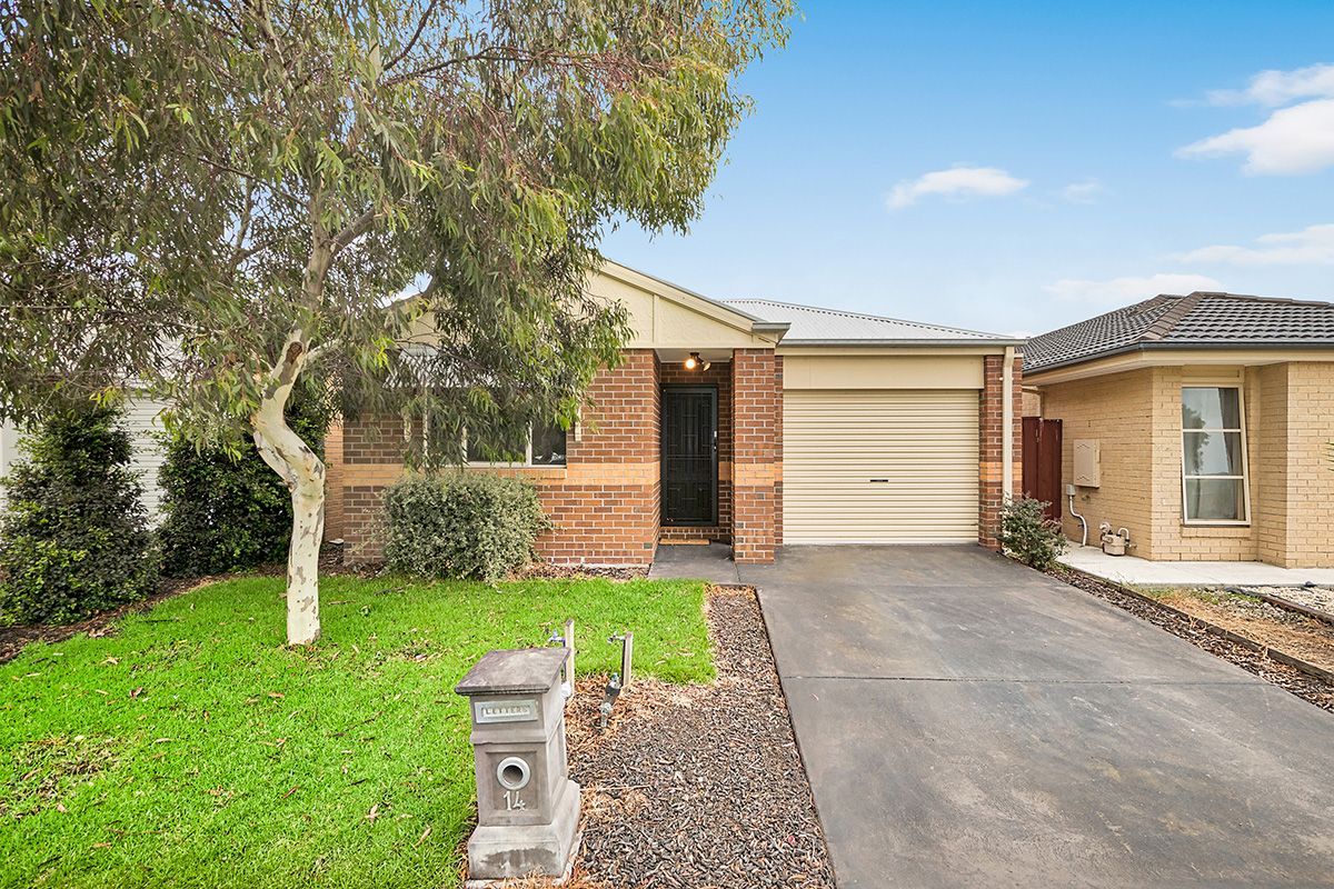 14 Lemon Grove, Cranbourne West VIC 3977
