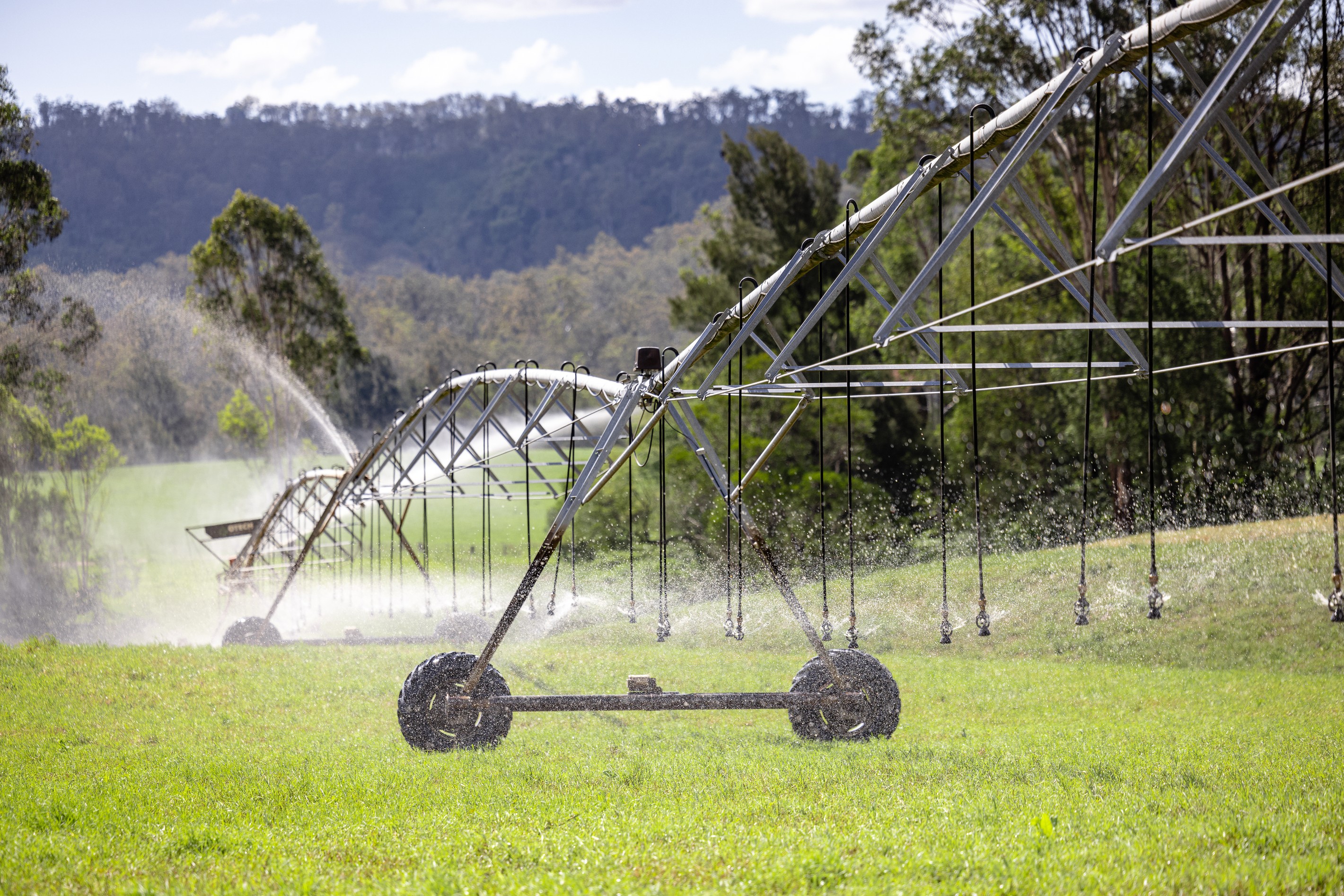 846 Toms Creek Road, Ellenborough, NSW 2446