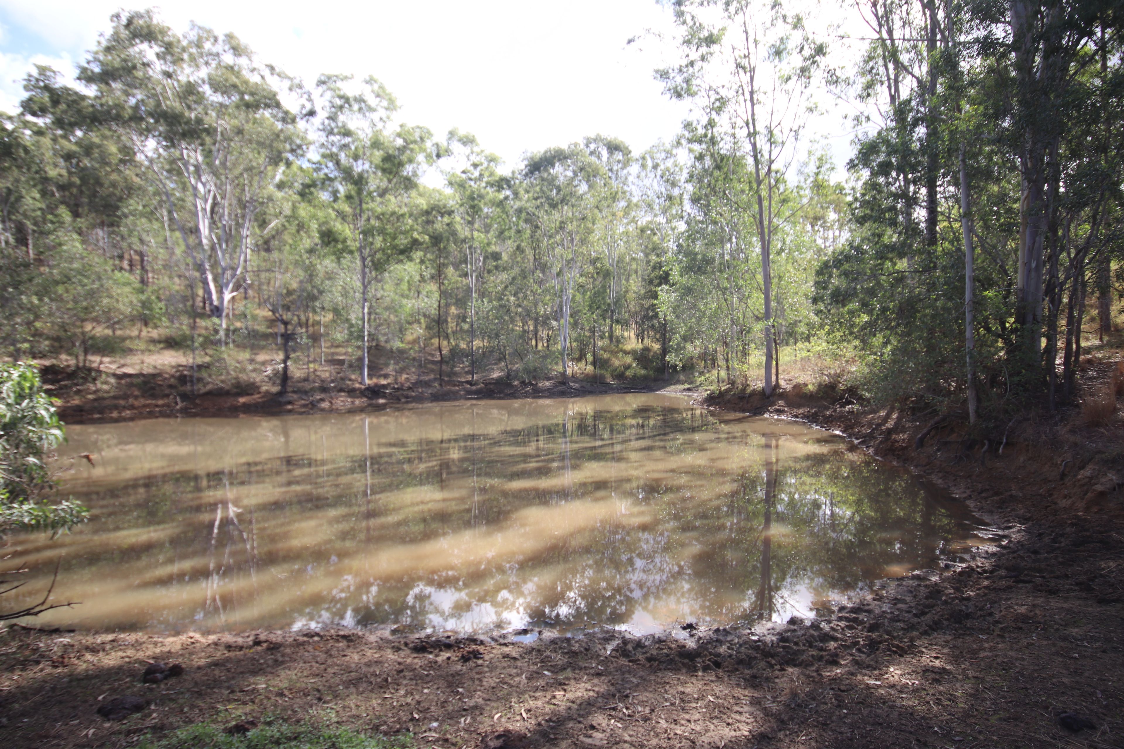 Lot 43 and Lot 50 Kalliwa Road, Mingo — photo 9 of 29
