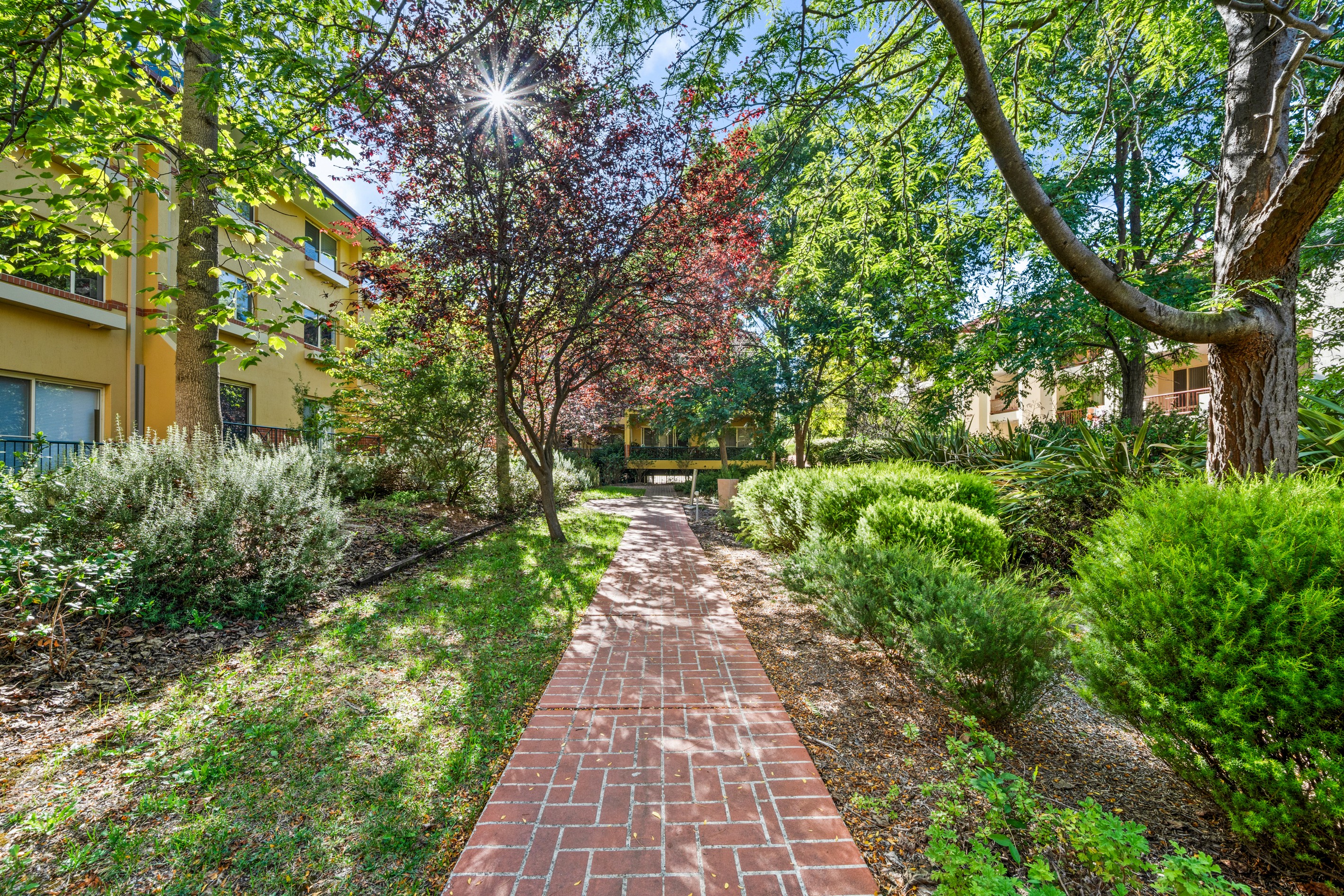 47/25 Fawkner Street, Braddon, ACT 2612