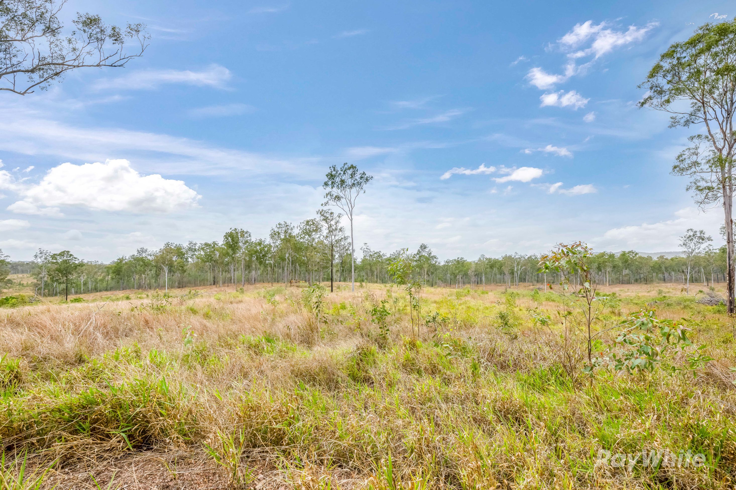 Lot 43 Moolyung Road — photo 15 of 29