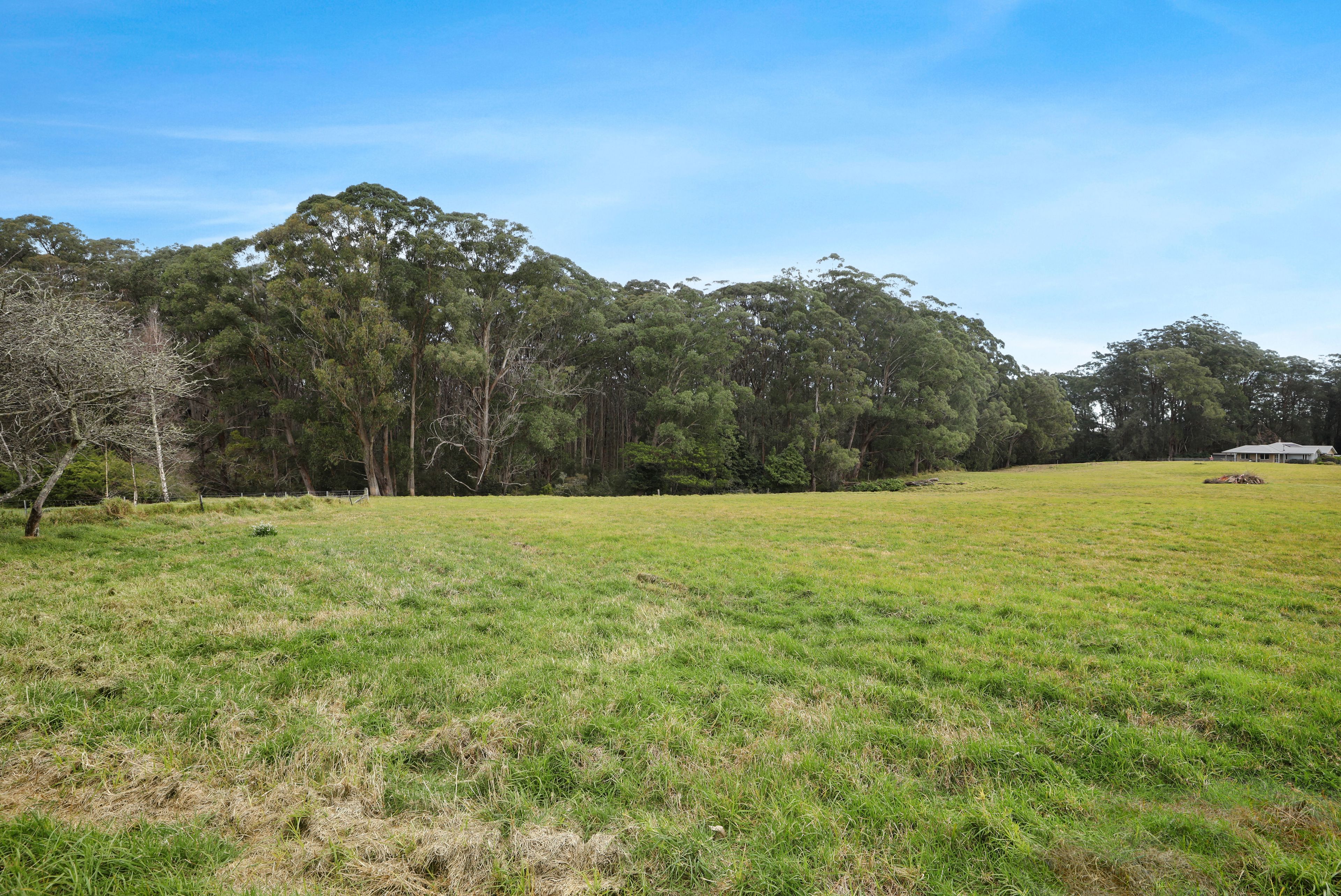 1400 Nowra Road — photo 11 of 12