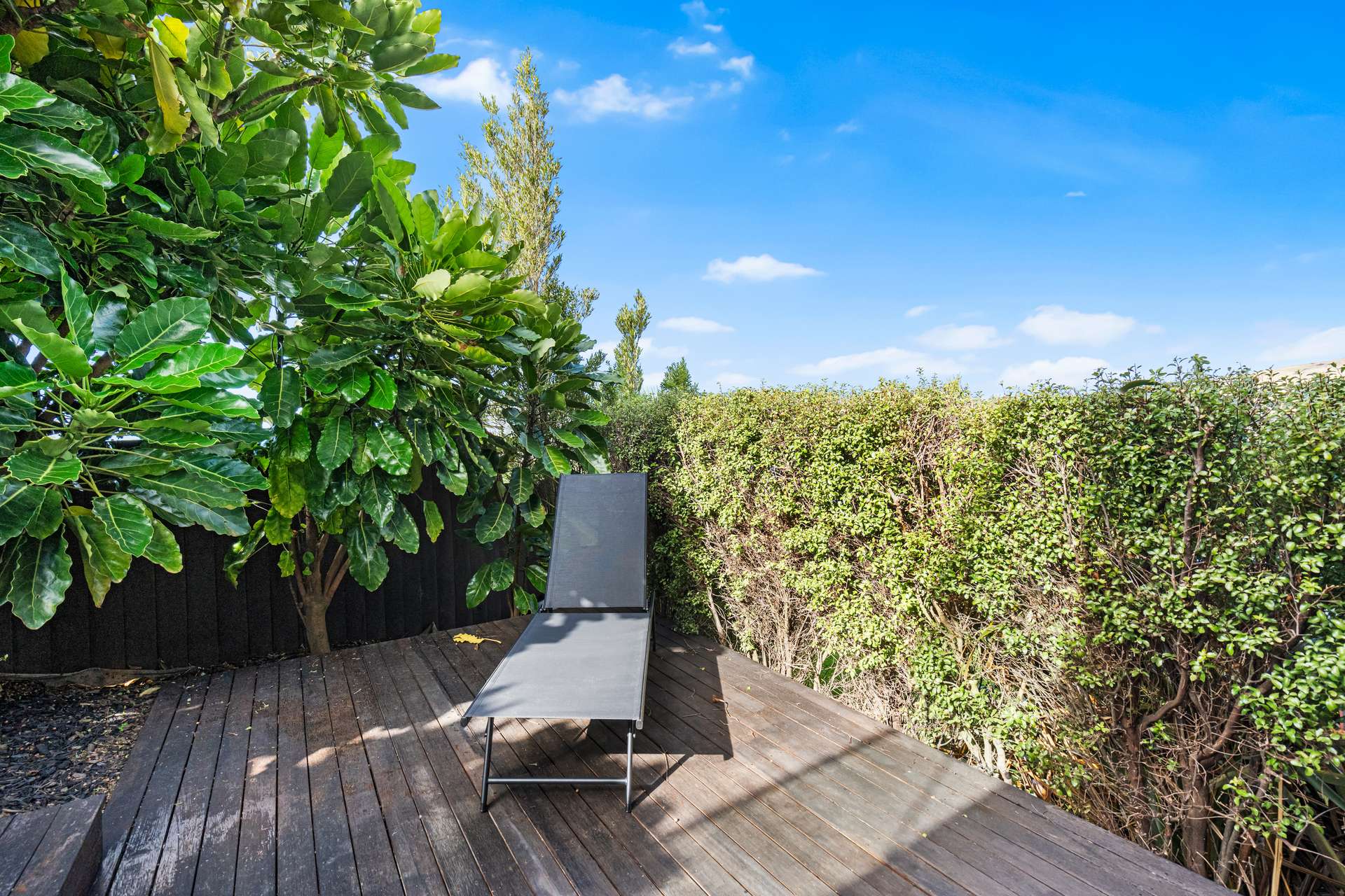 233 Richmond Hill Road photo 21