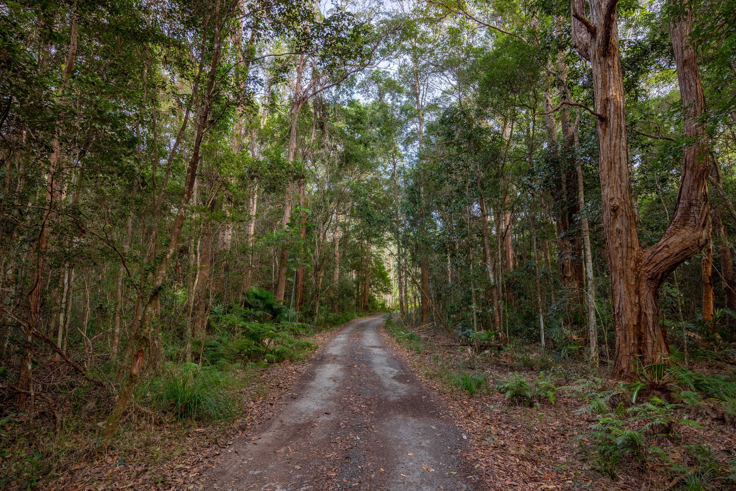 489 Old Caloundra Road, Glenview, QLD 4553