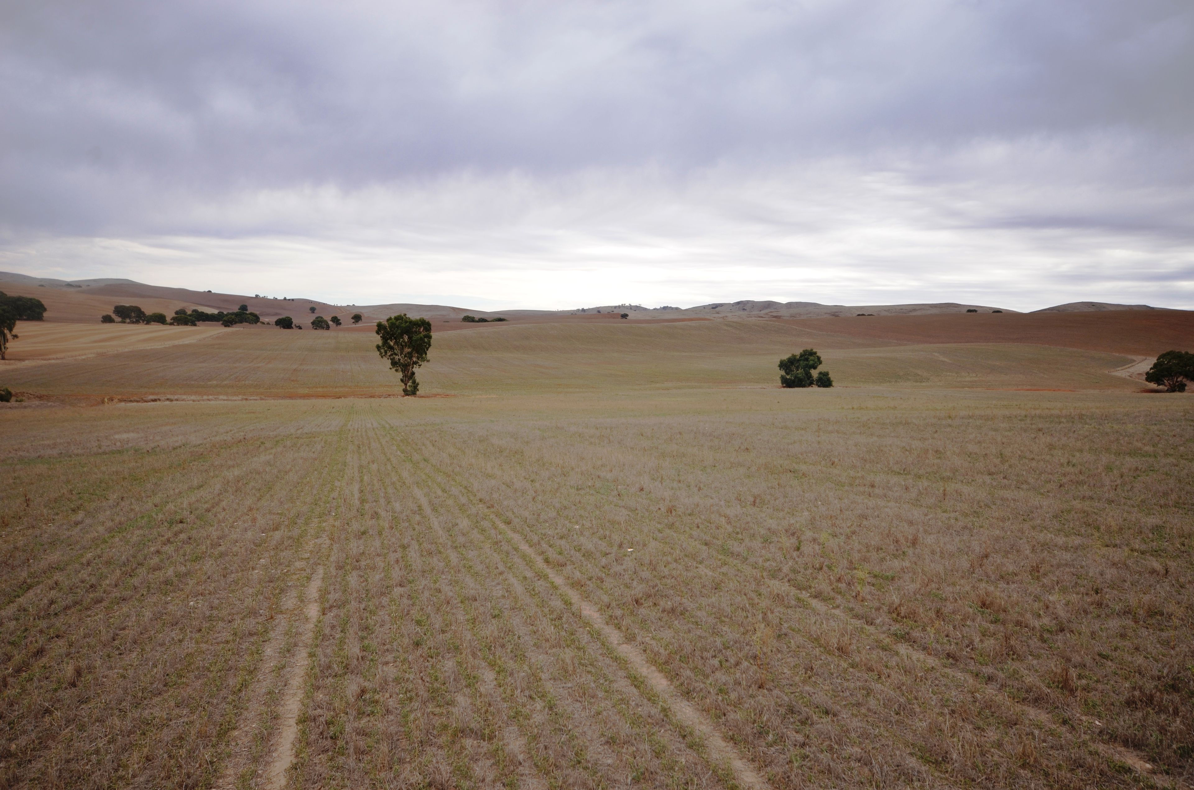 'Harveys' Pattersons Road, Gulnare SA 5471