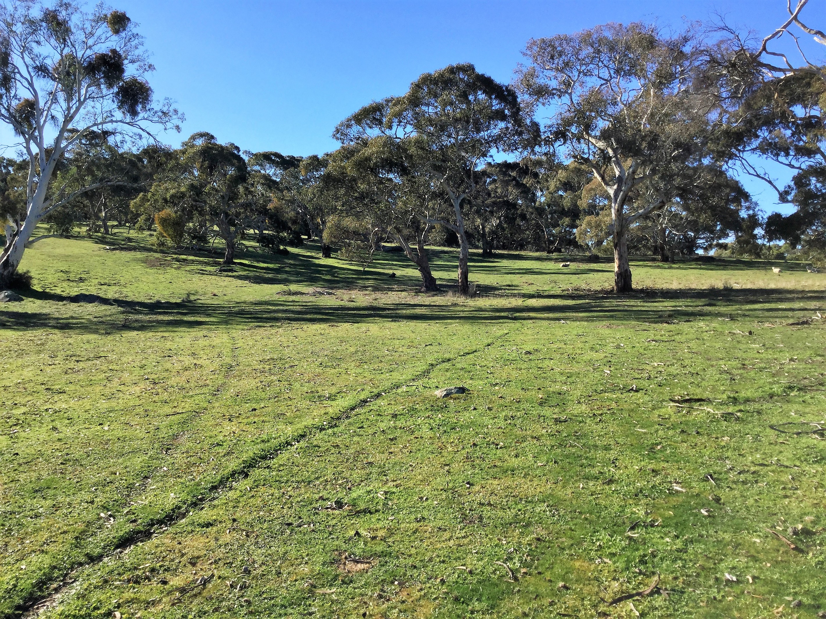 57 (Lot 3) Dawson Road, Mount Crawford, SA 5351