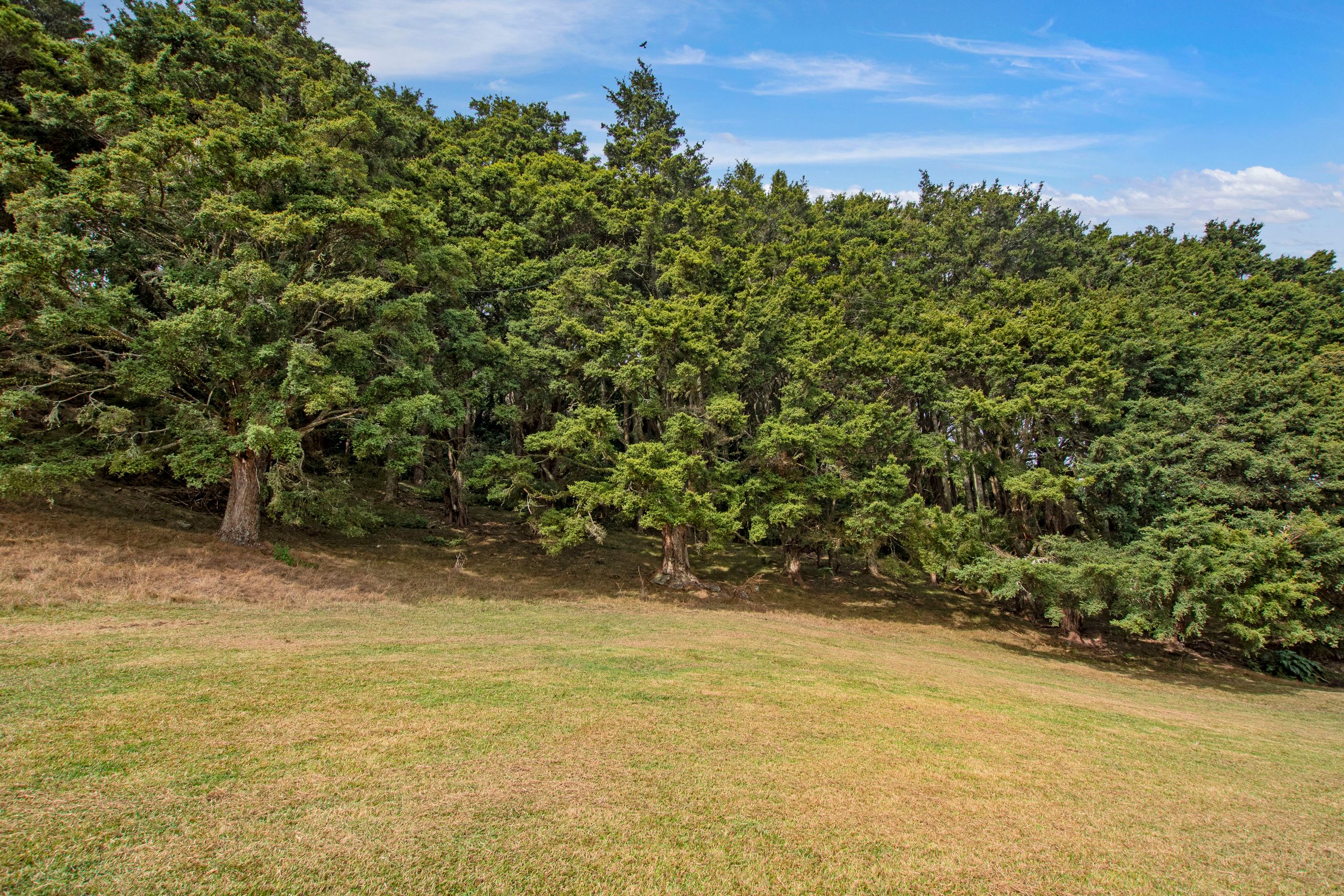 316A Crane Road, Kauri, Whangarei District 0185 Section for Sale Ray White Whangarei
