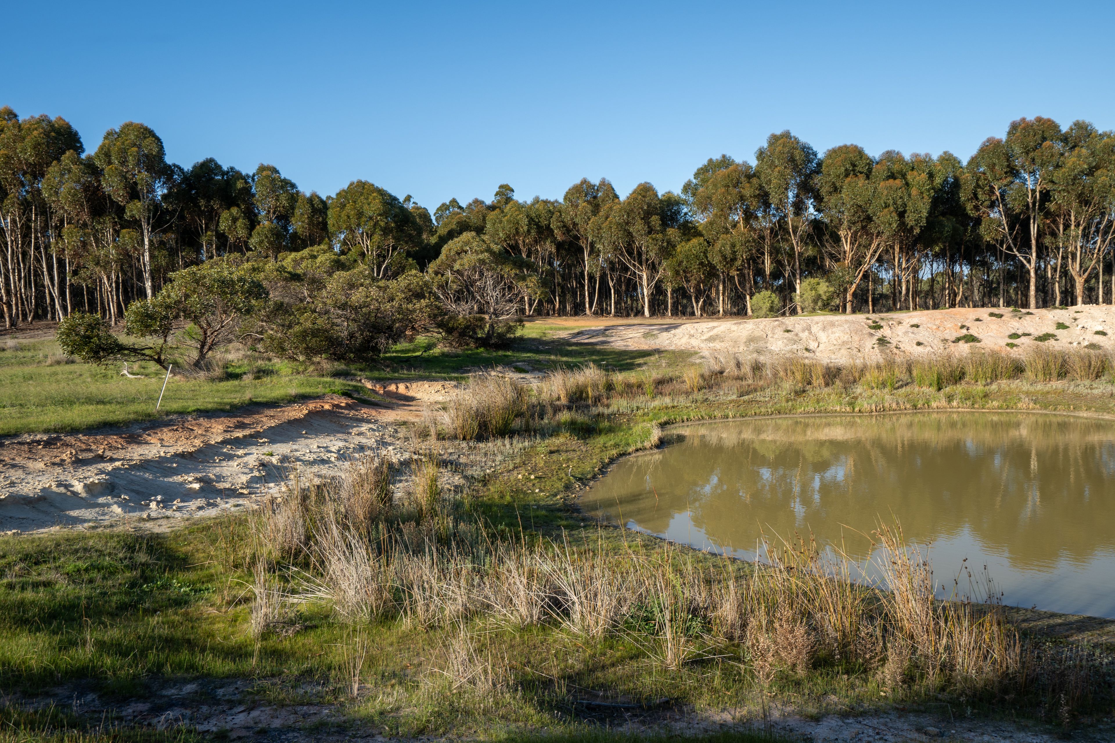 Lot 1895 Pallinup River Estate — photo 21 of 30
