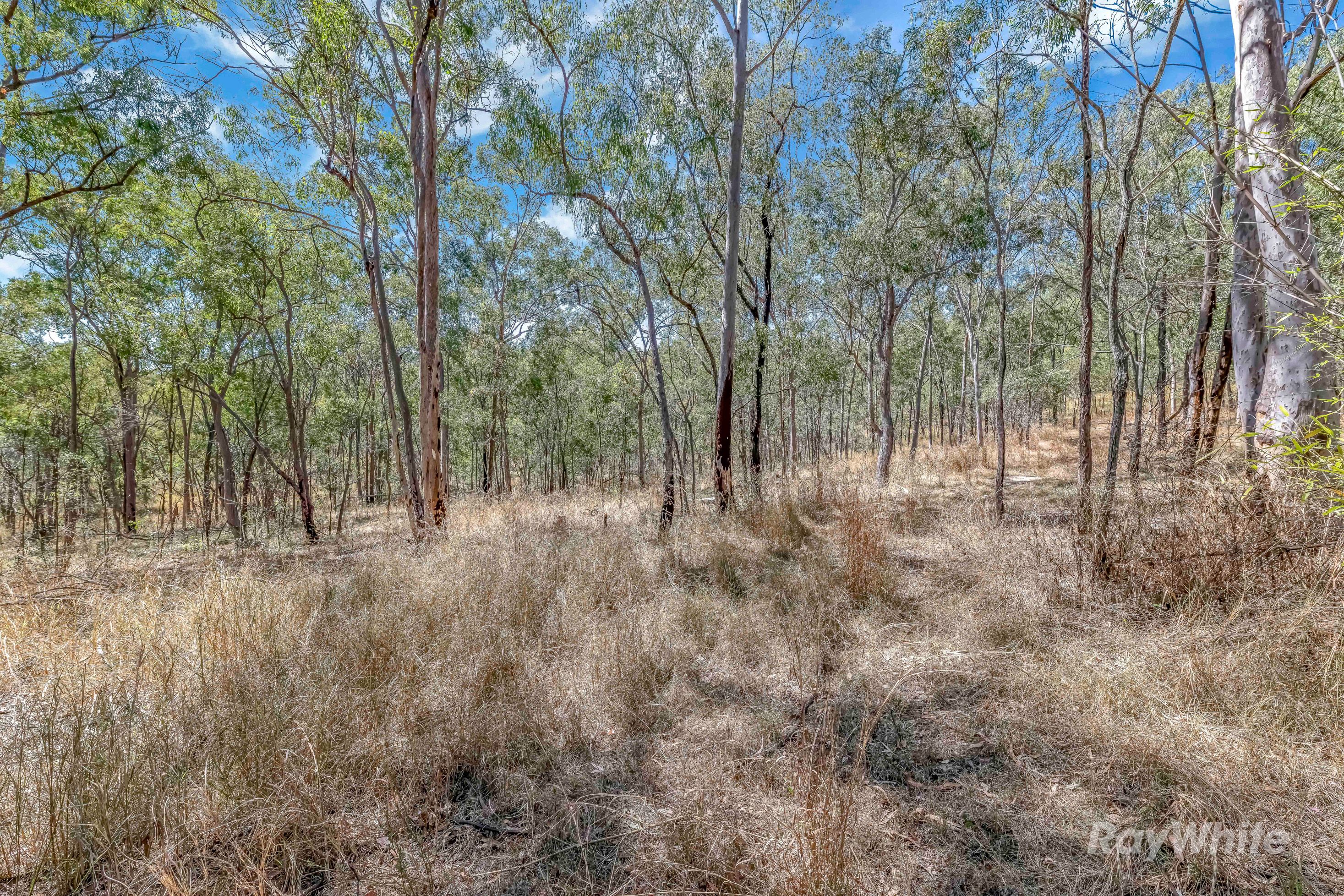 103 Doughboy Road, Doughboy QLD 4671
